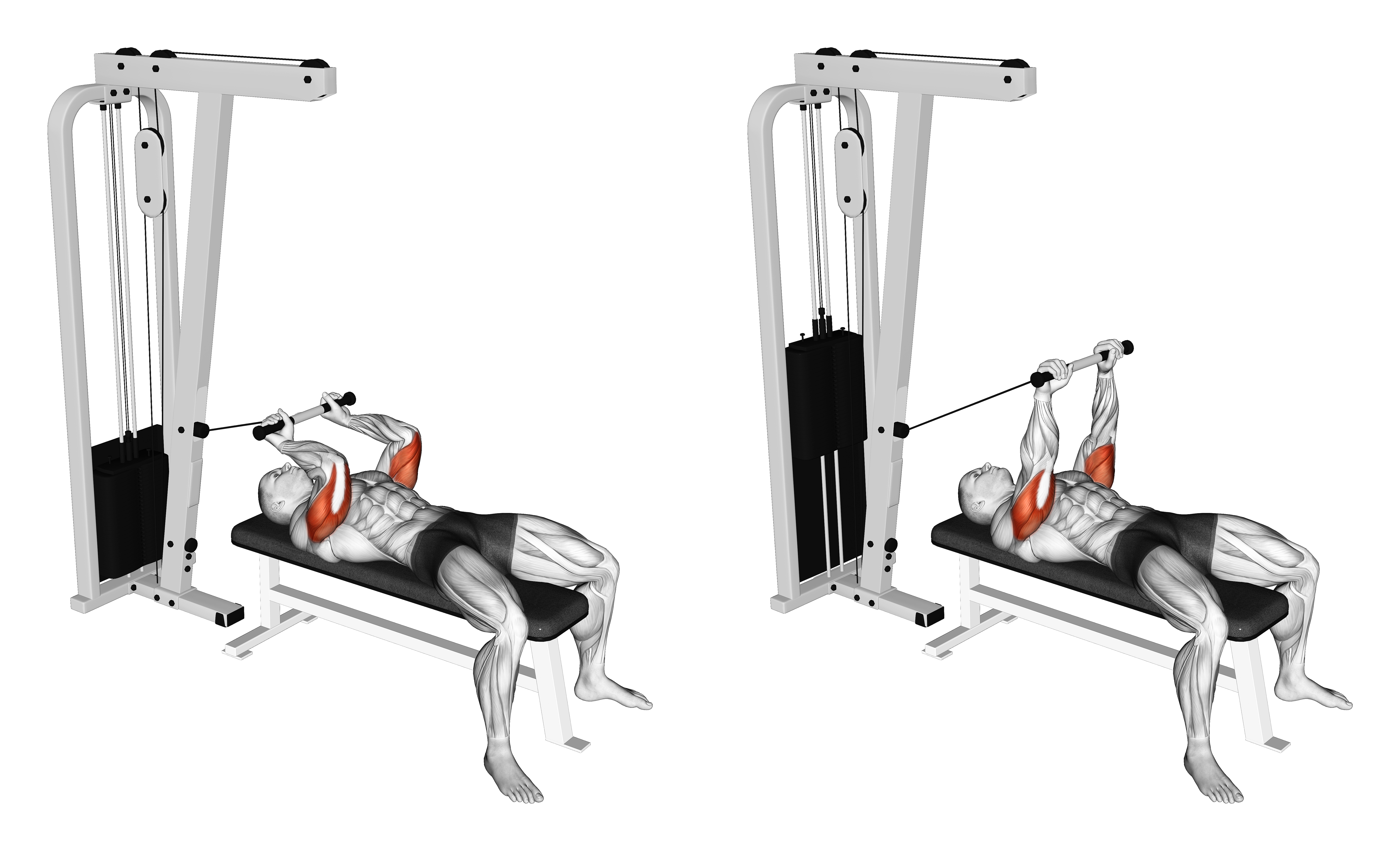 Cable Lying Triceps Extension