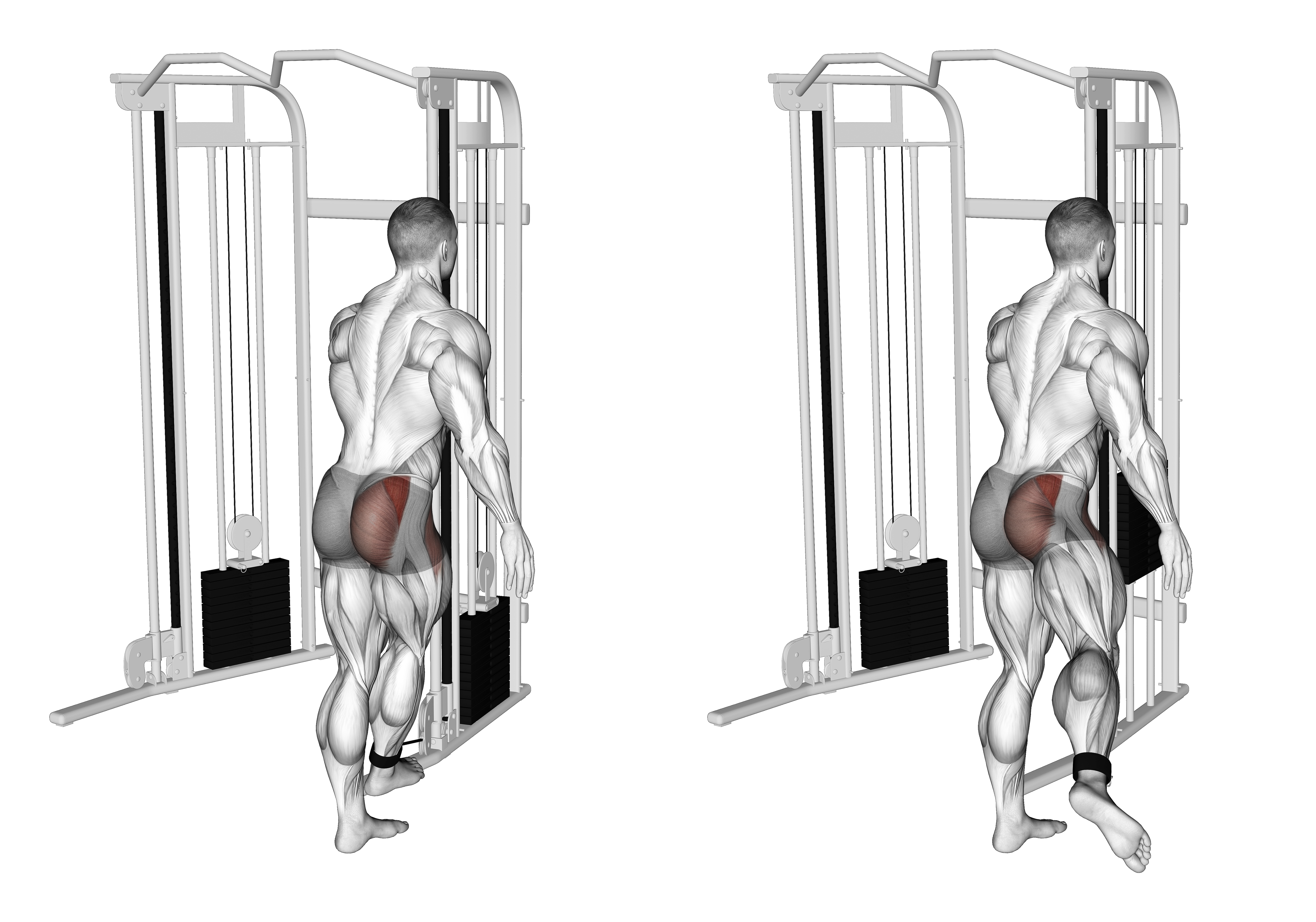 Cable Medius Kickback