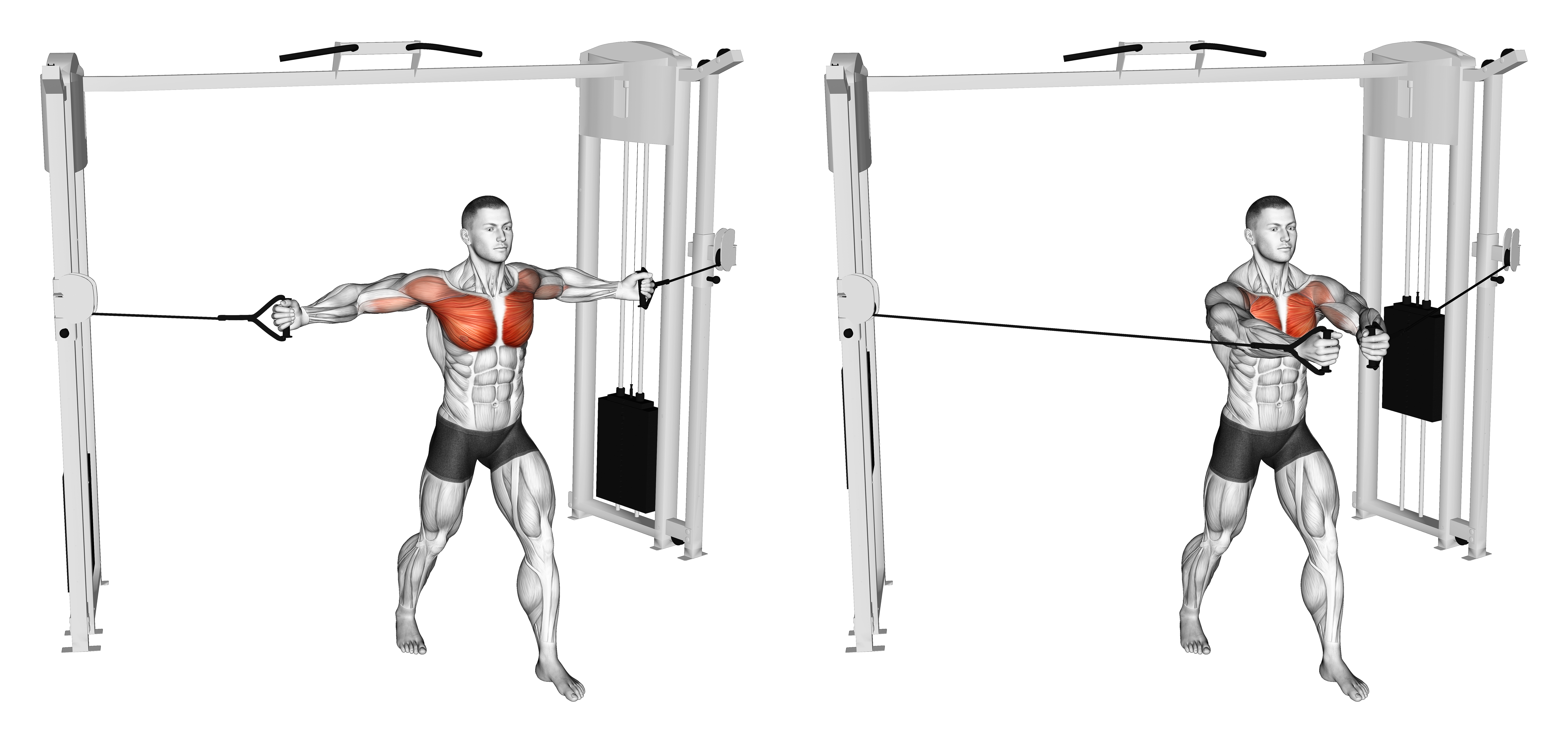 Cable Middle Fly