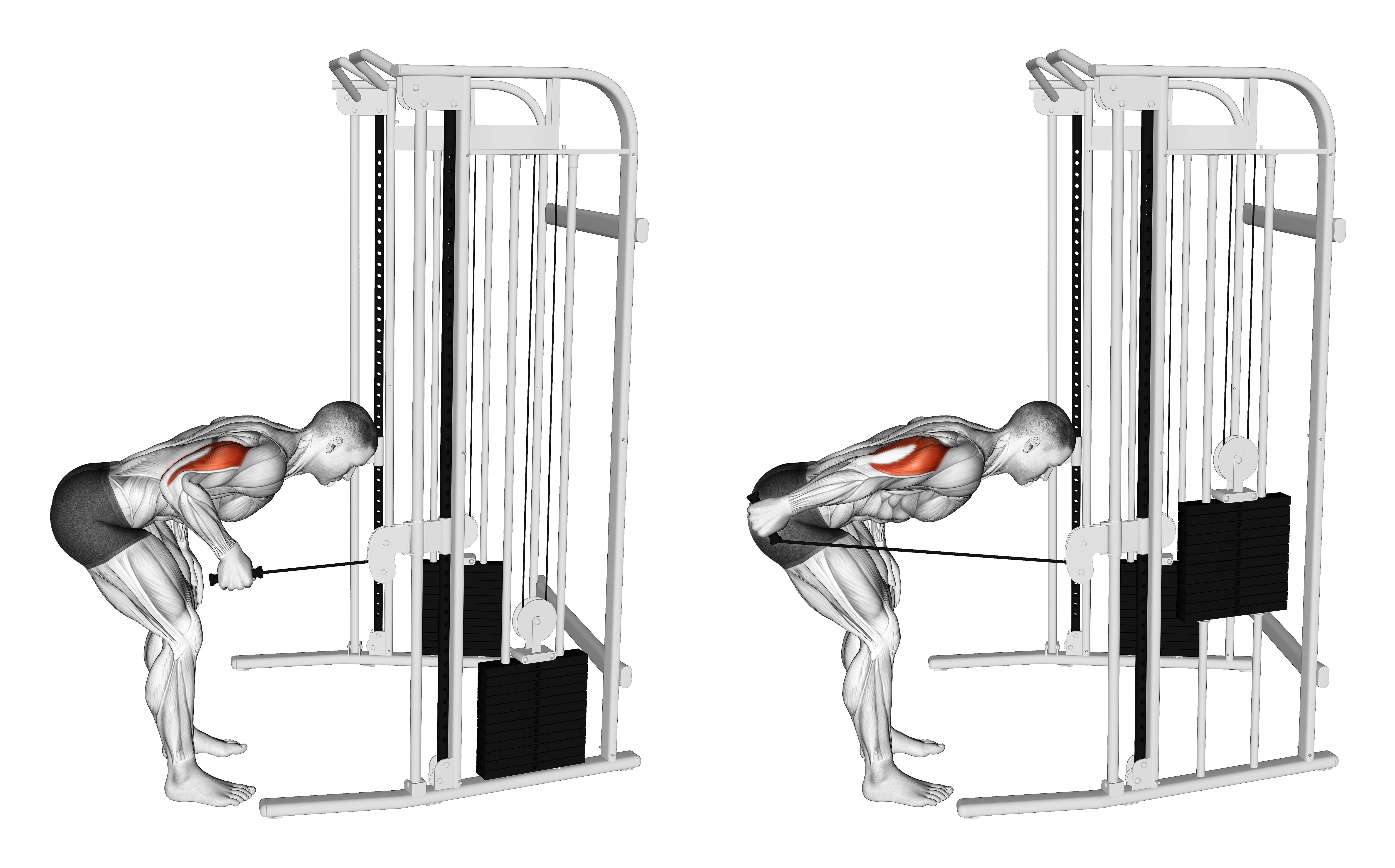 Cable Neutral Grip Kickback