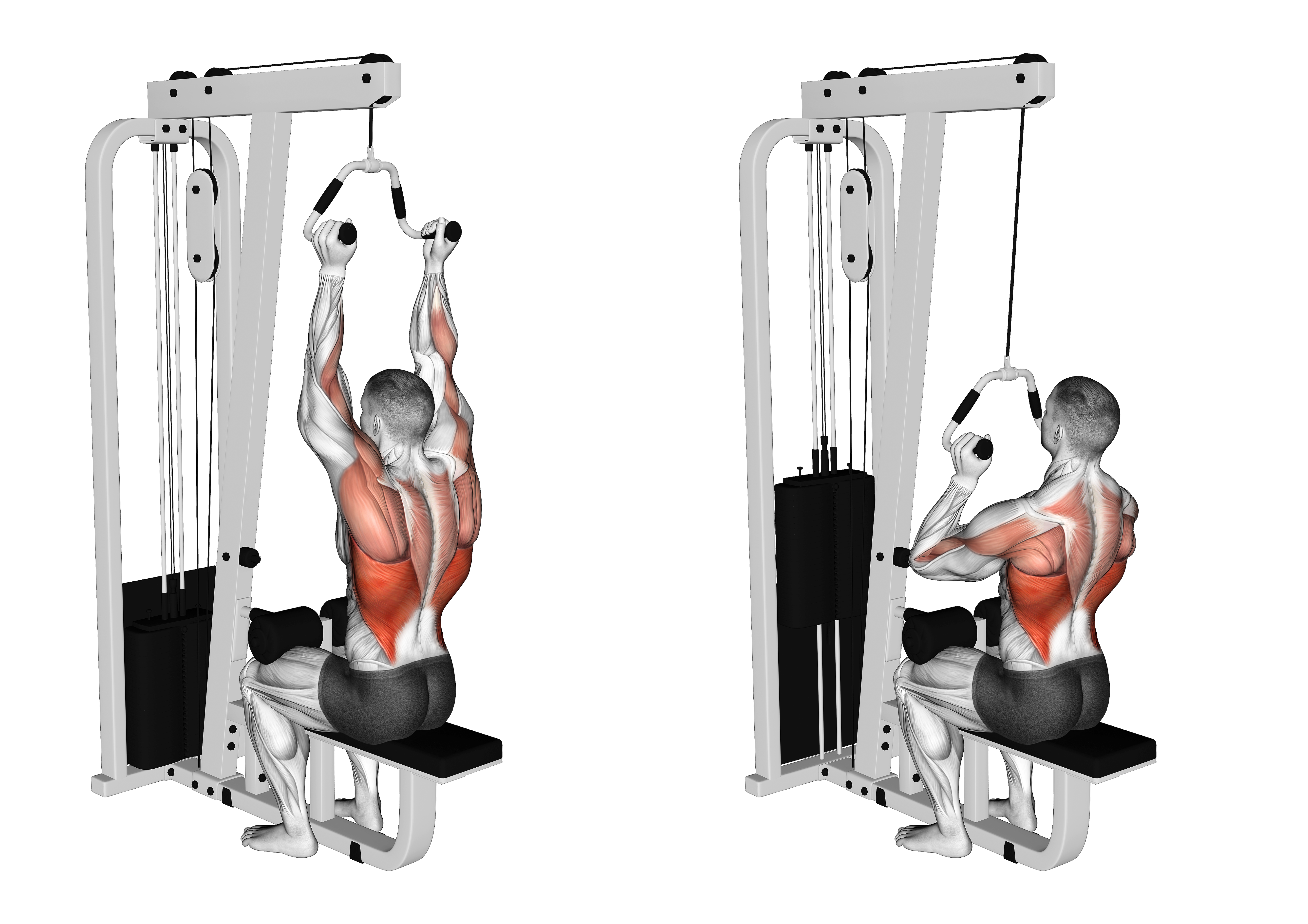Cable Neutral Grip Lat Pulldown