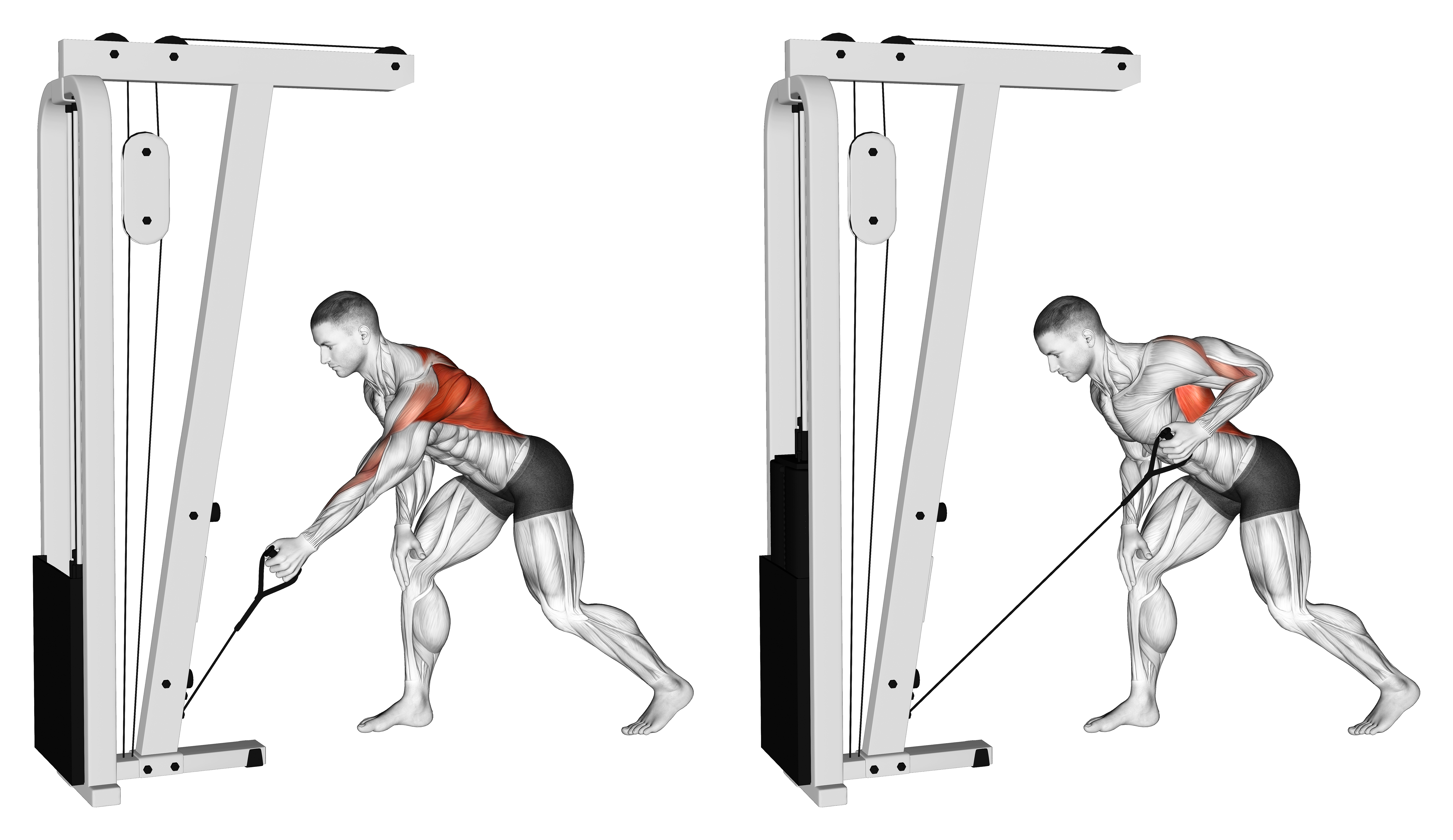 Cable One Arm Bent Over Row