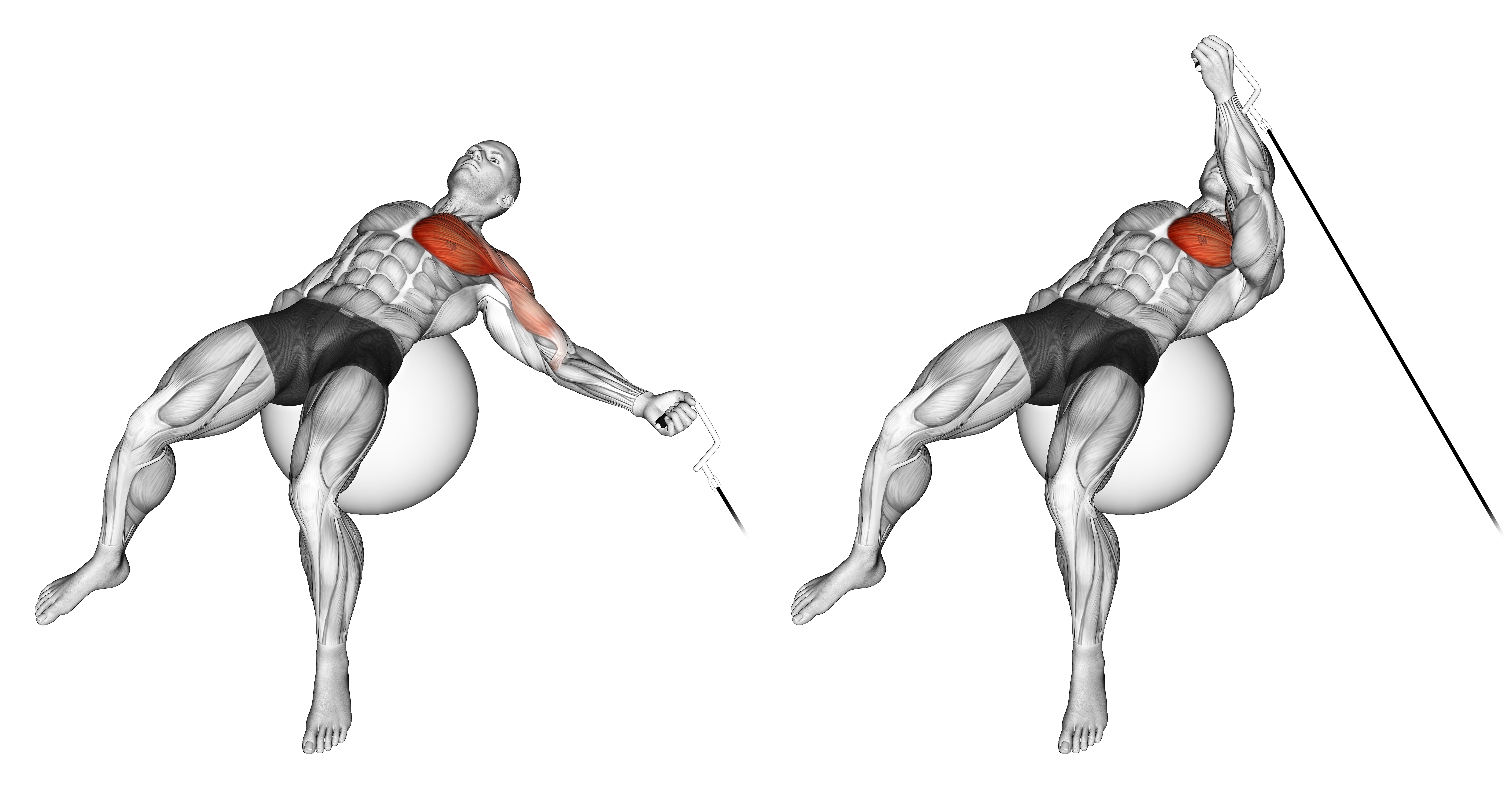 Cable One Arm Fly On Exercise Ball