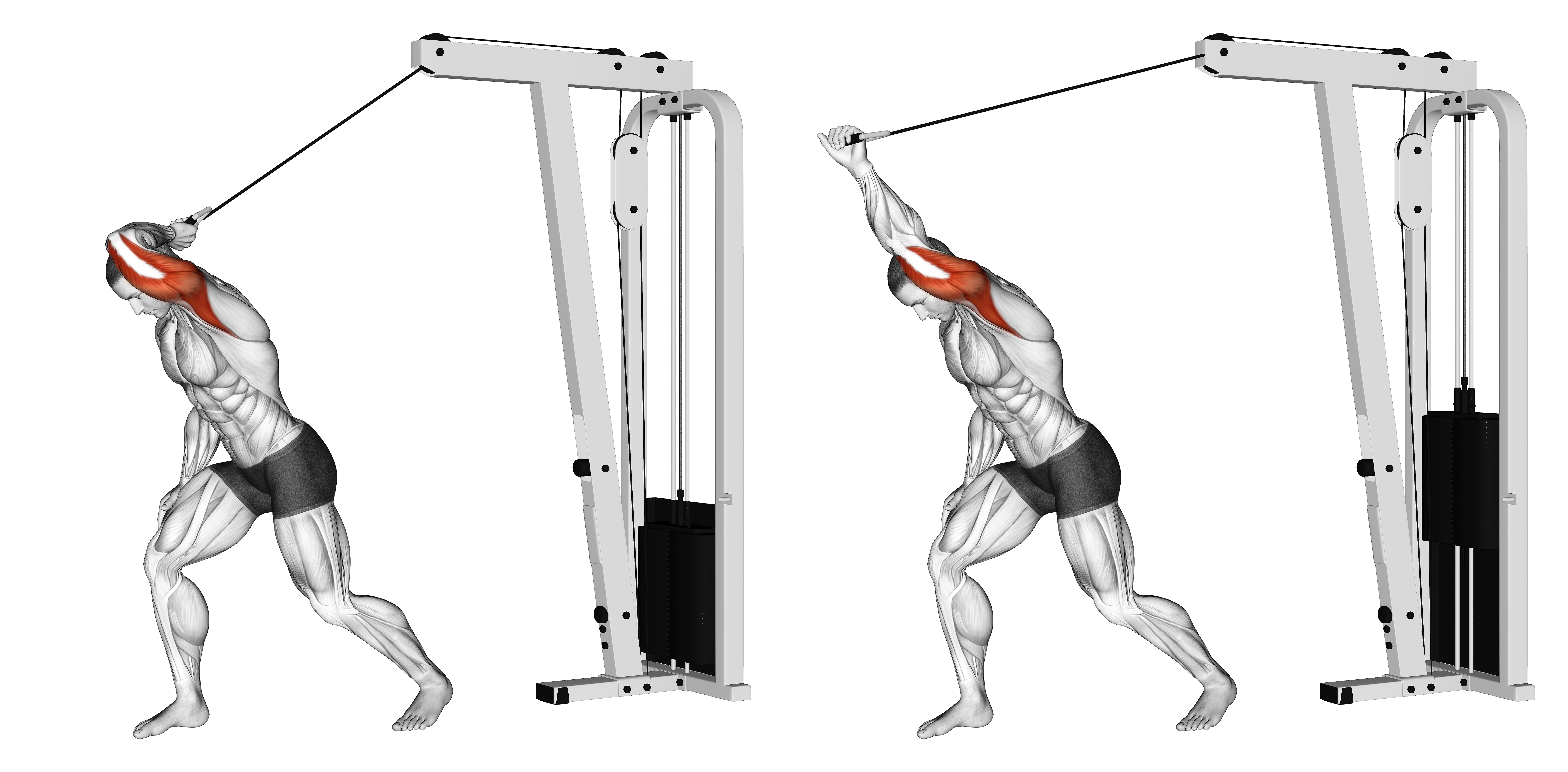 Cable One Arm High Pulley Overhead Tricep Extension