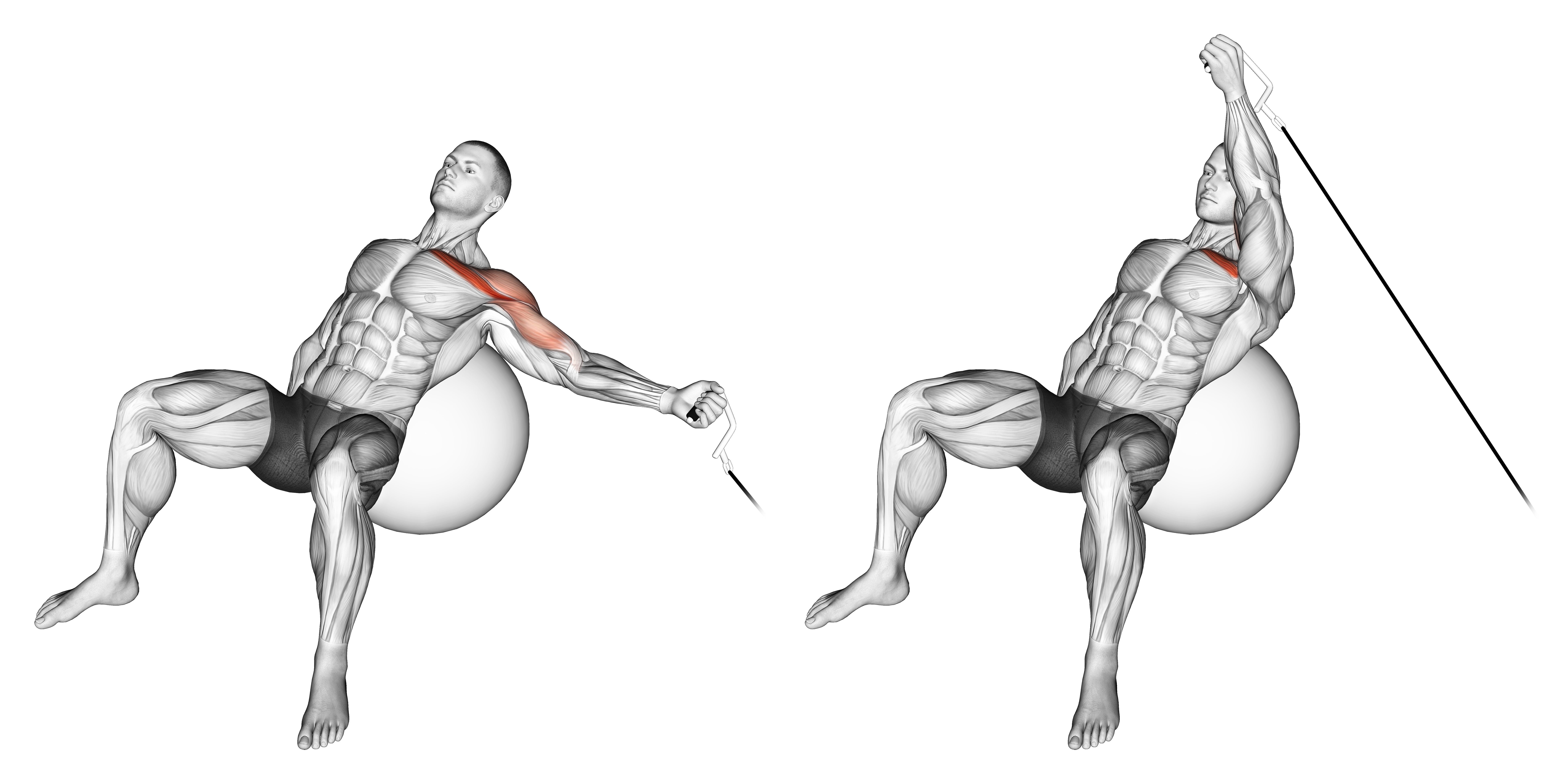 Cable One Arm Incline Fly On Exercise Ball