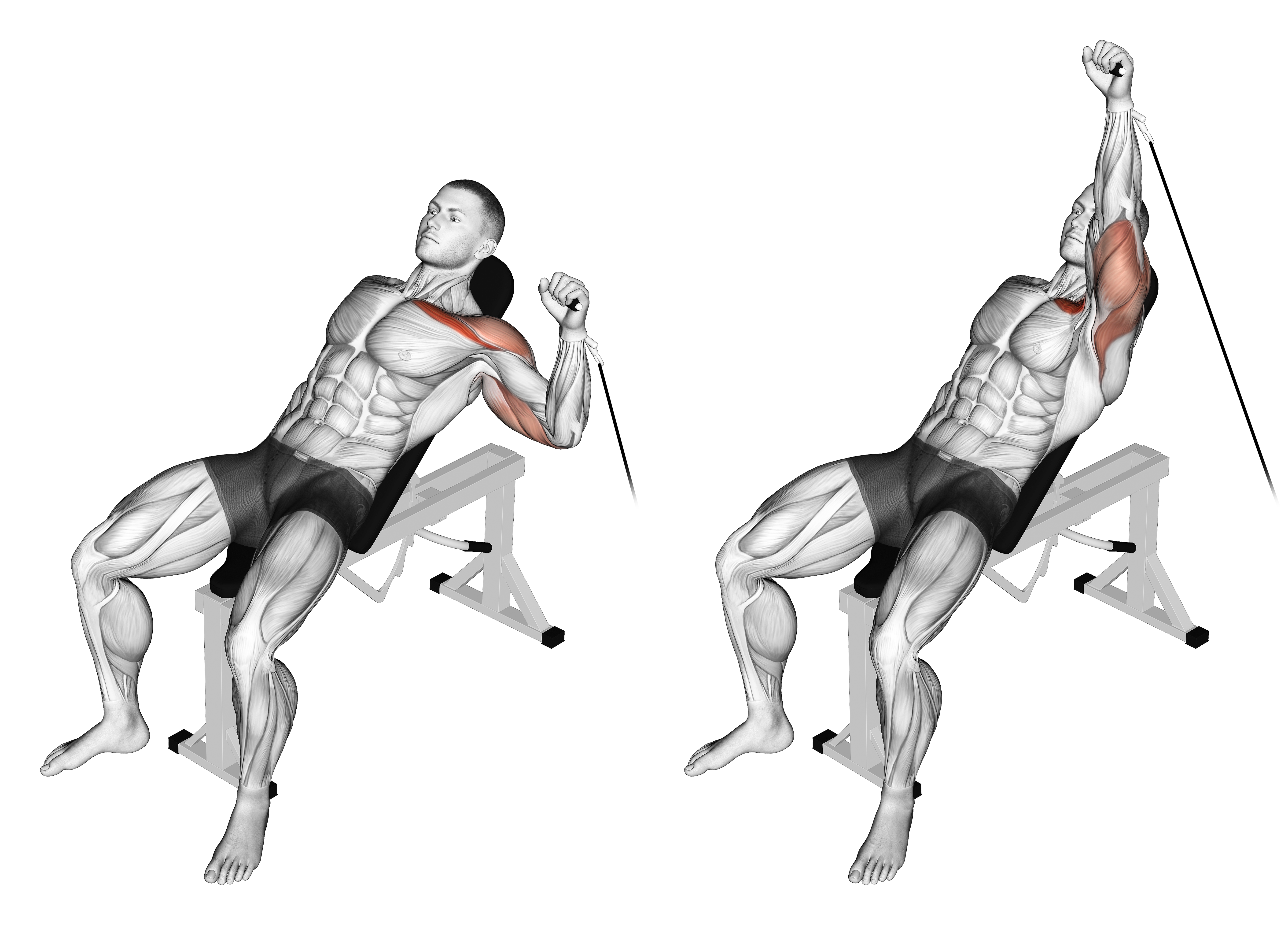 Cable One Arm Incline Press