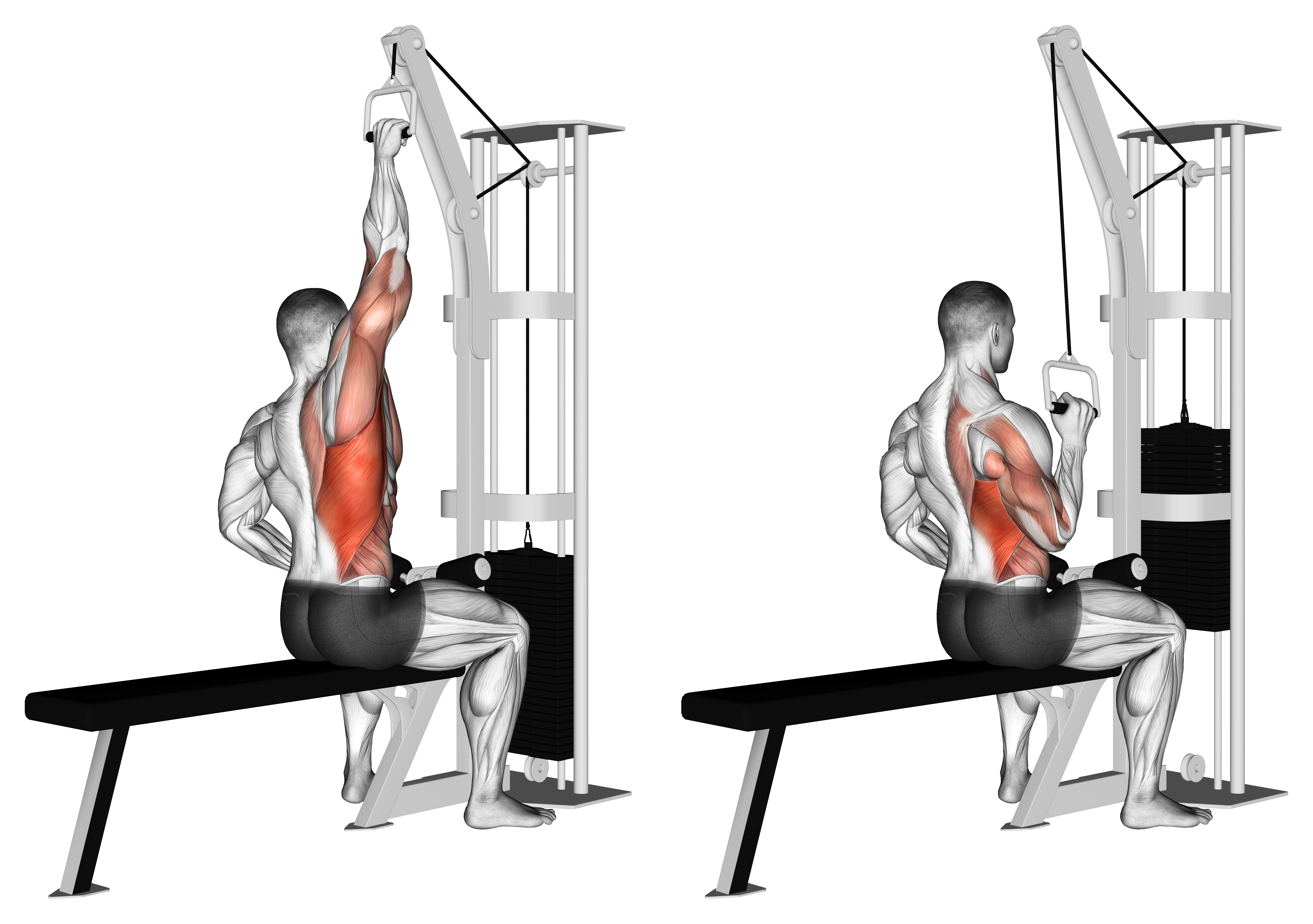 Cable One Arm Lat Pulldown