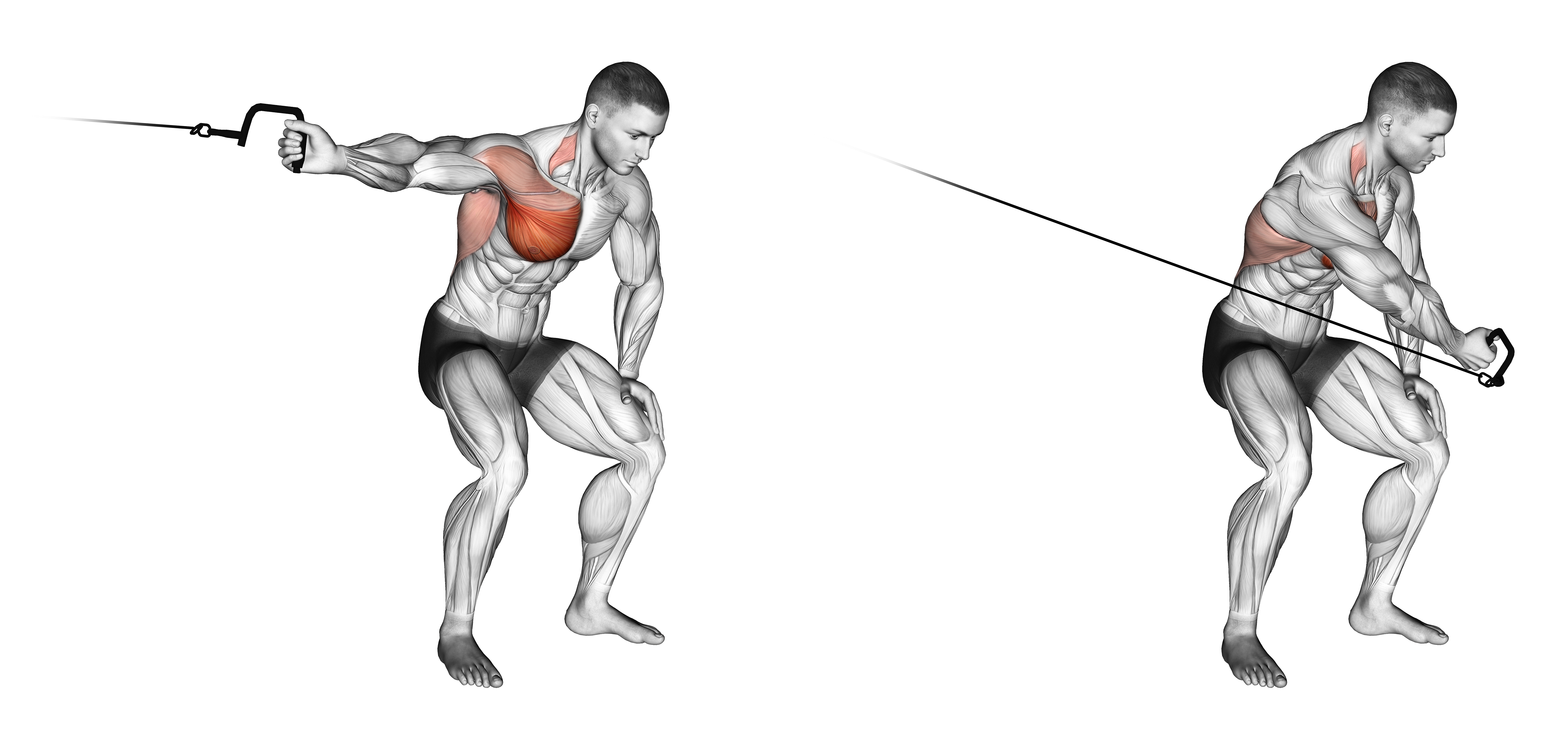 Cable One Arm Lateral Bent Over