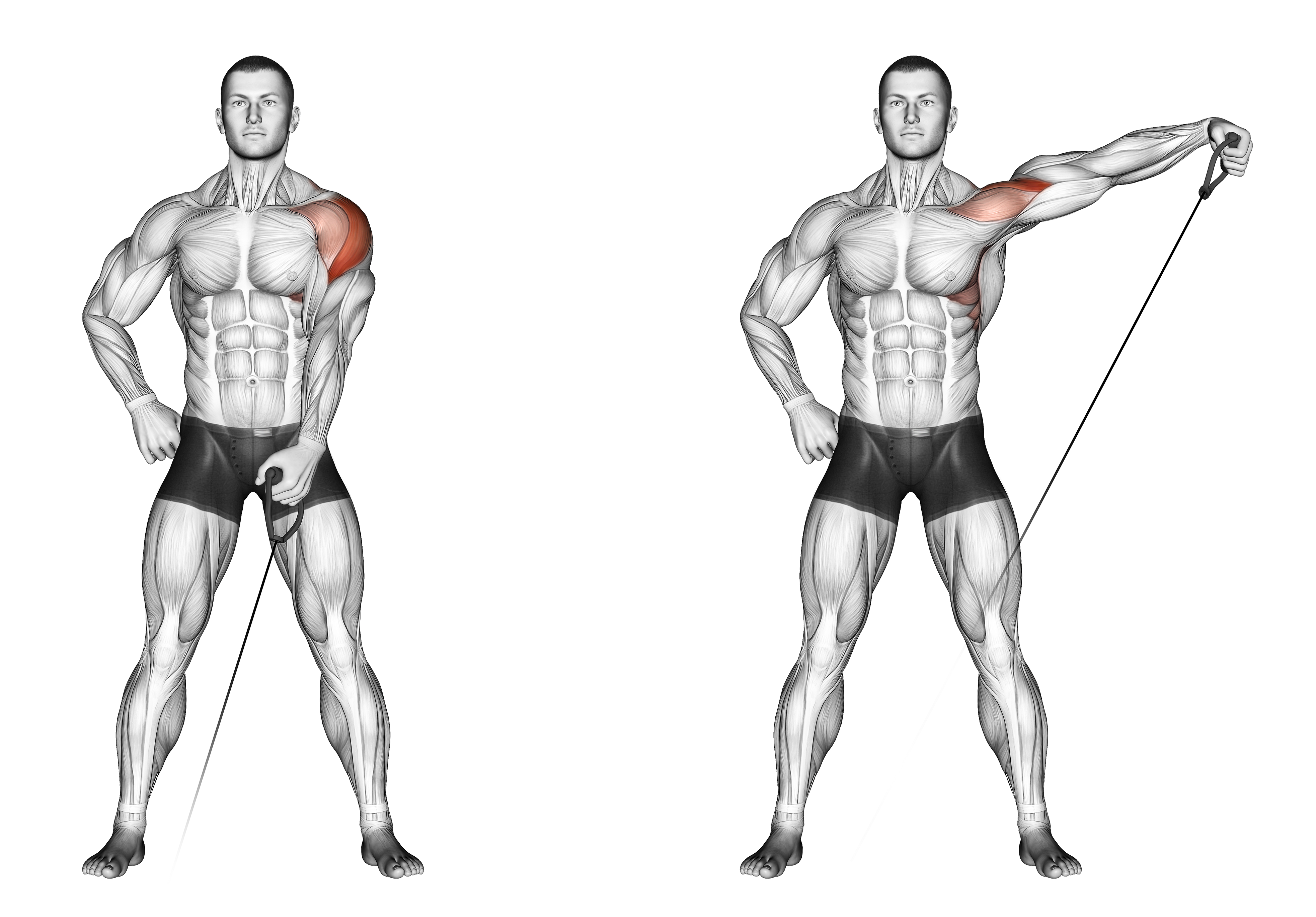 Cable One Arm Lateral Raise