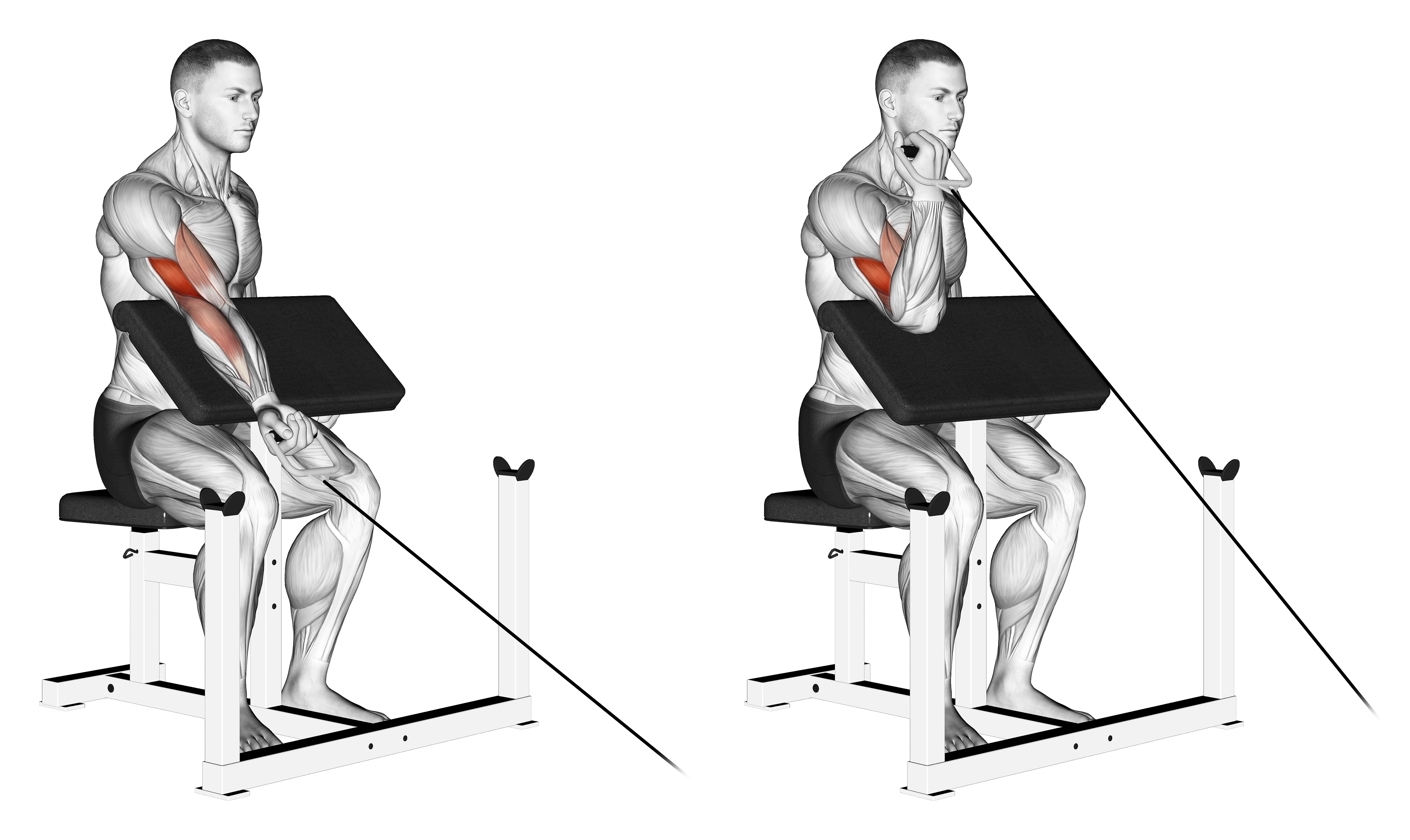 Cable One Arm Preacher Curl