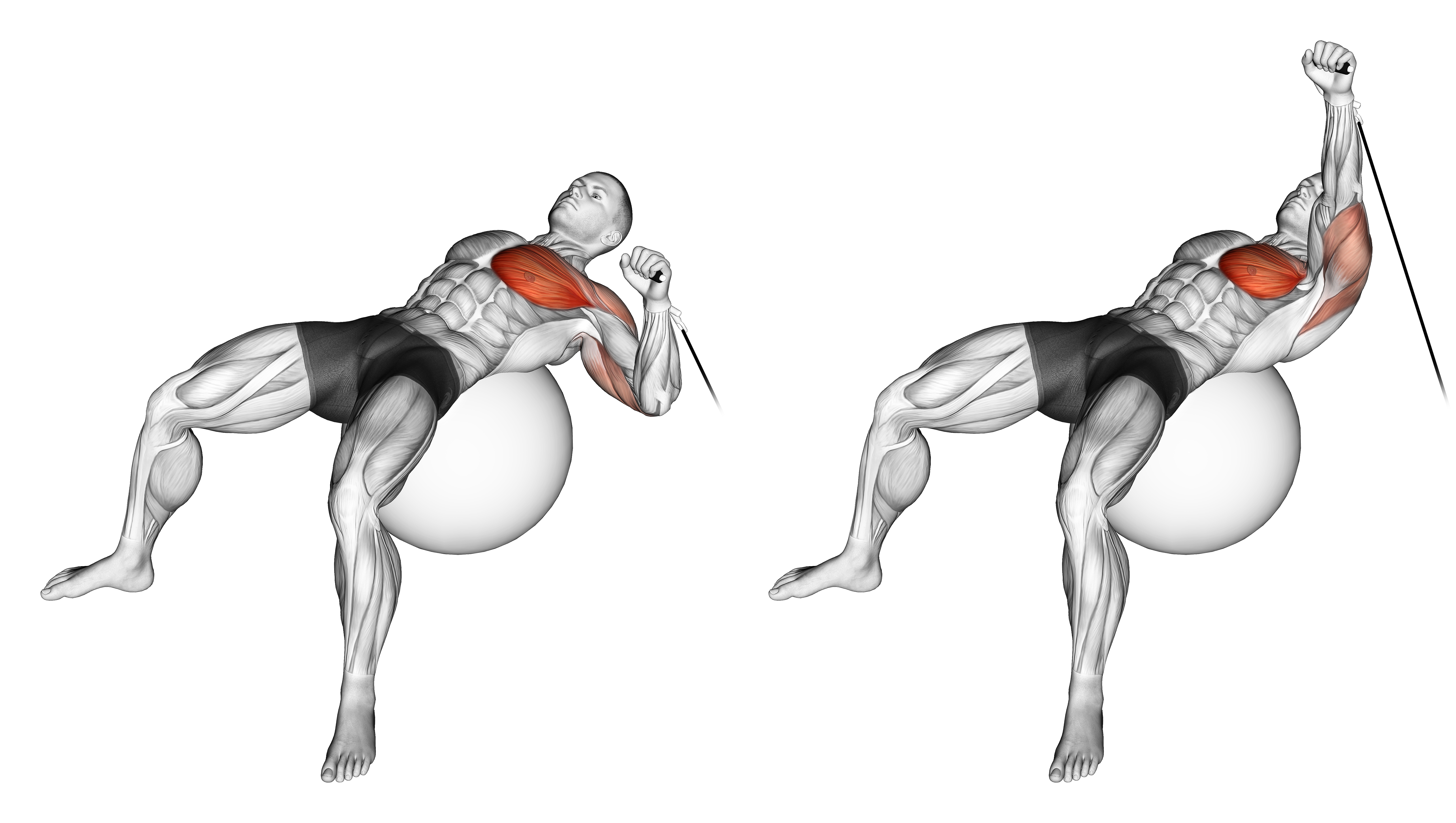 Cable One Arm Press On Exercise Ball