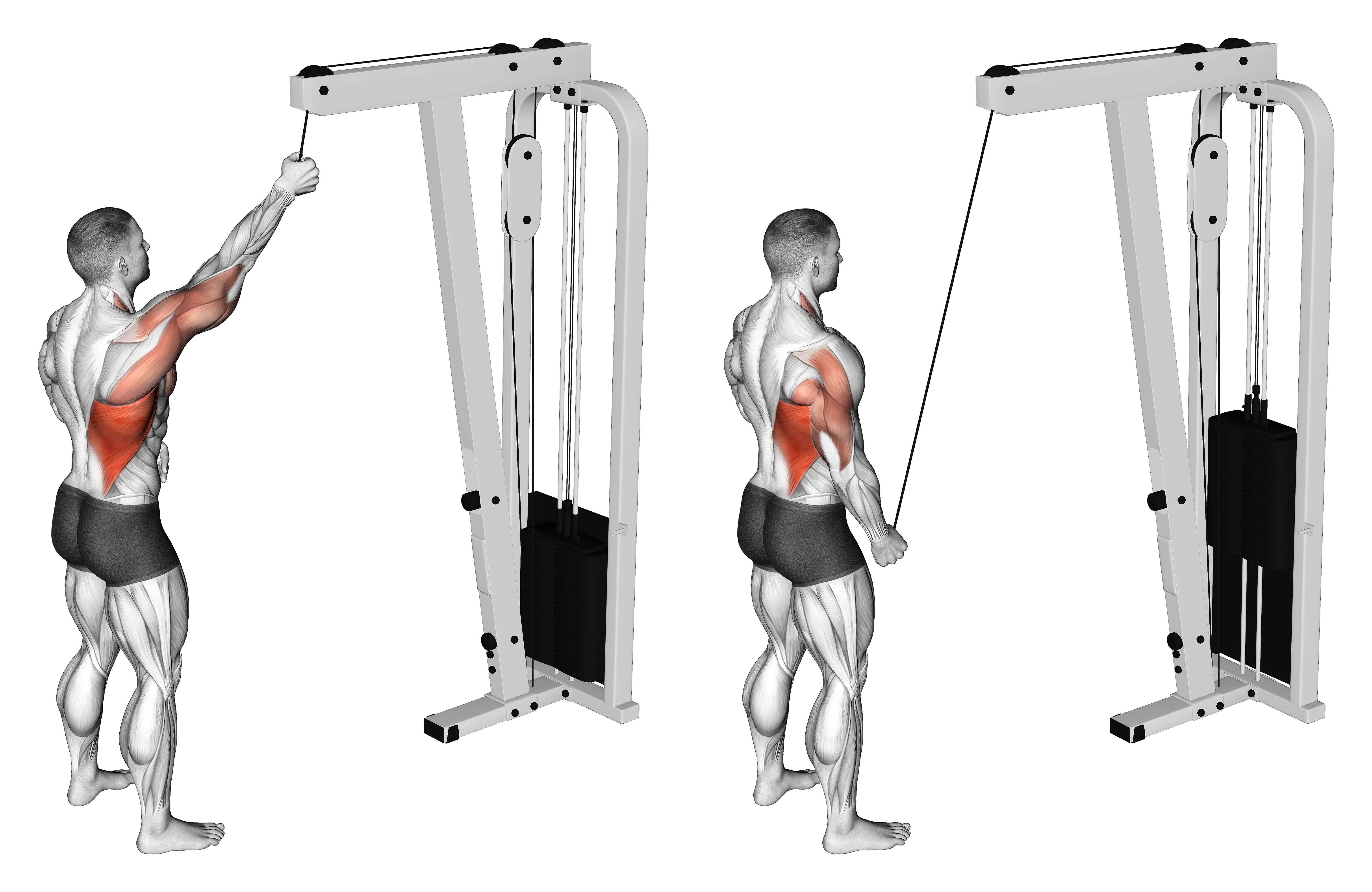 Cable One Arm Pulldown