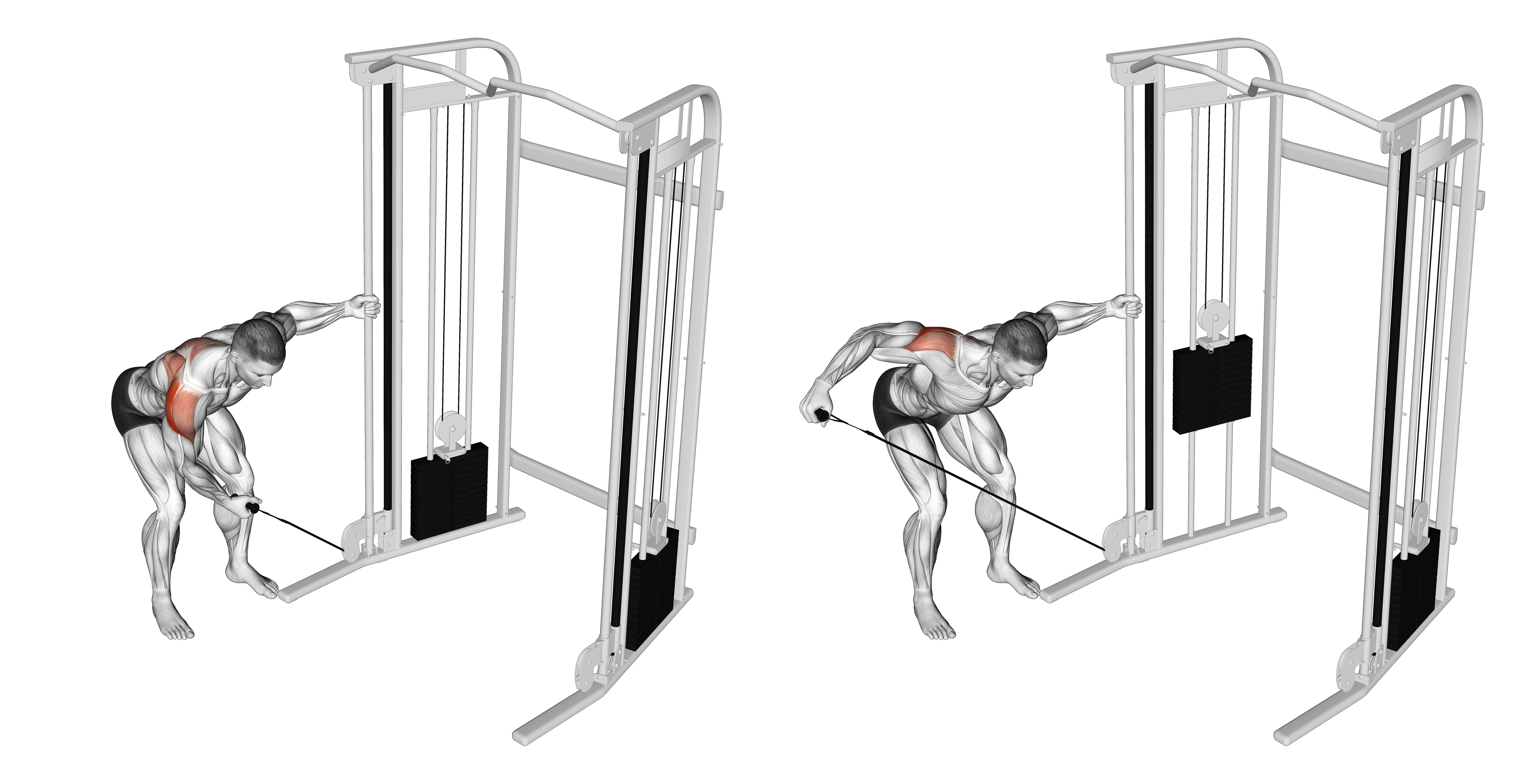 Cable One Arm Reverse Fly