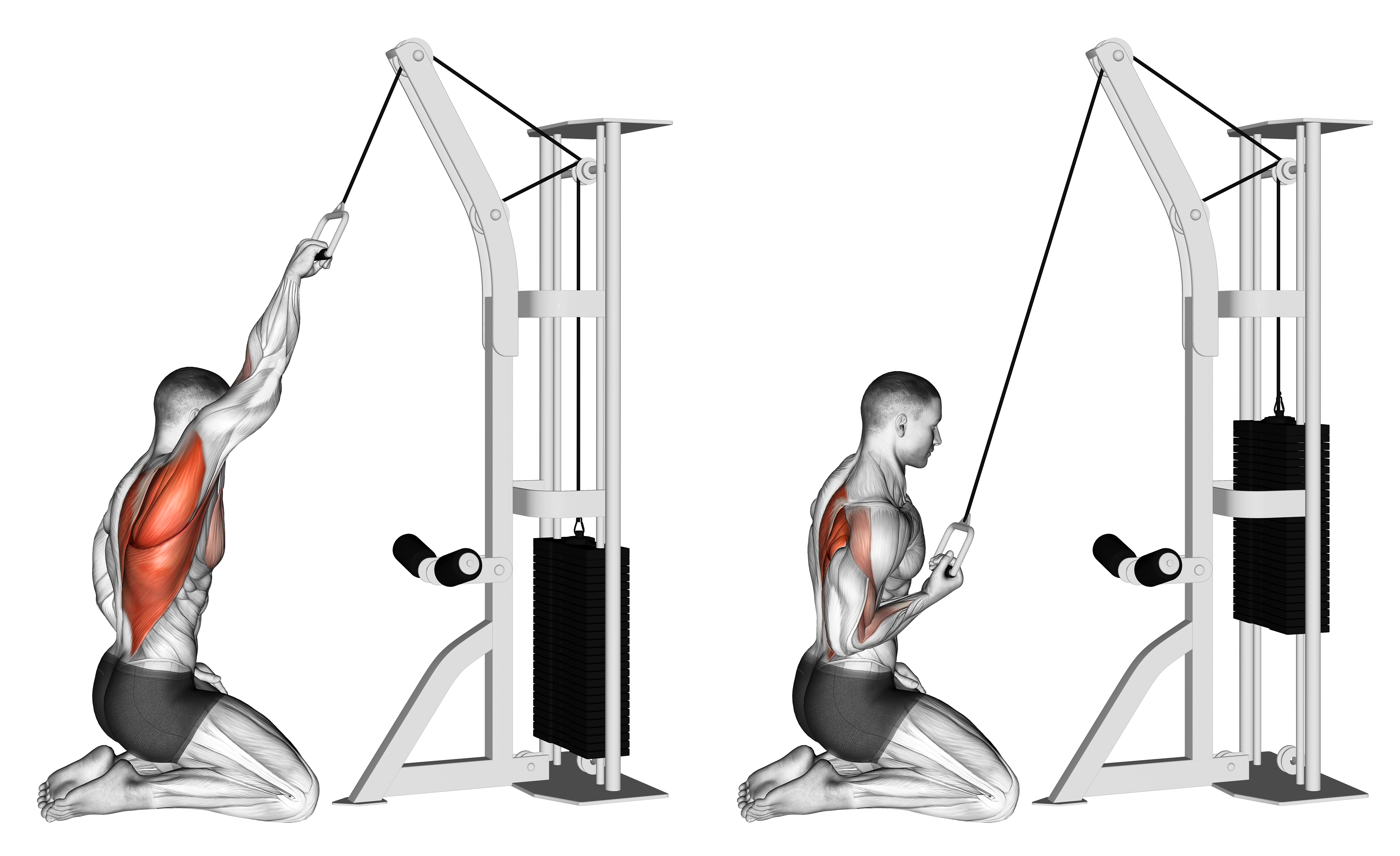Cable One Arm Straight Back High Row (kneeling)