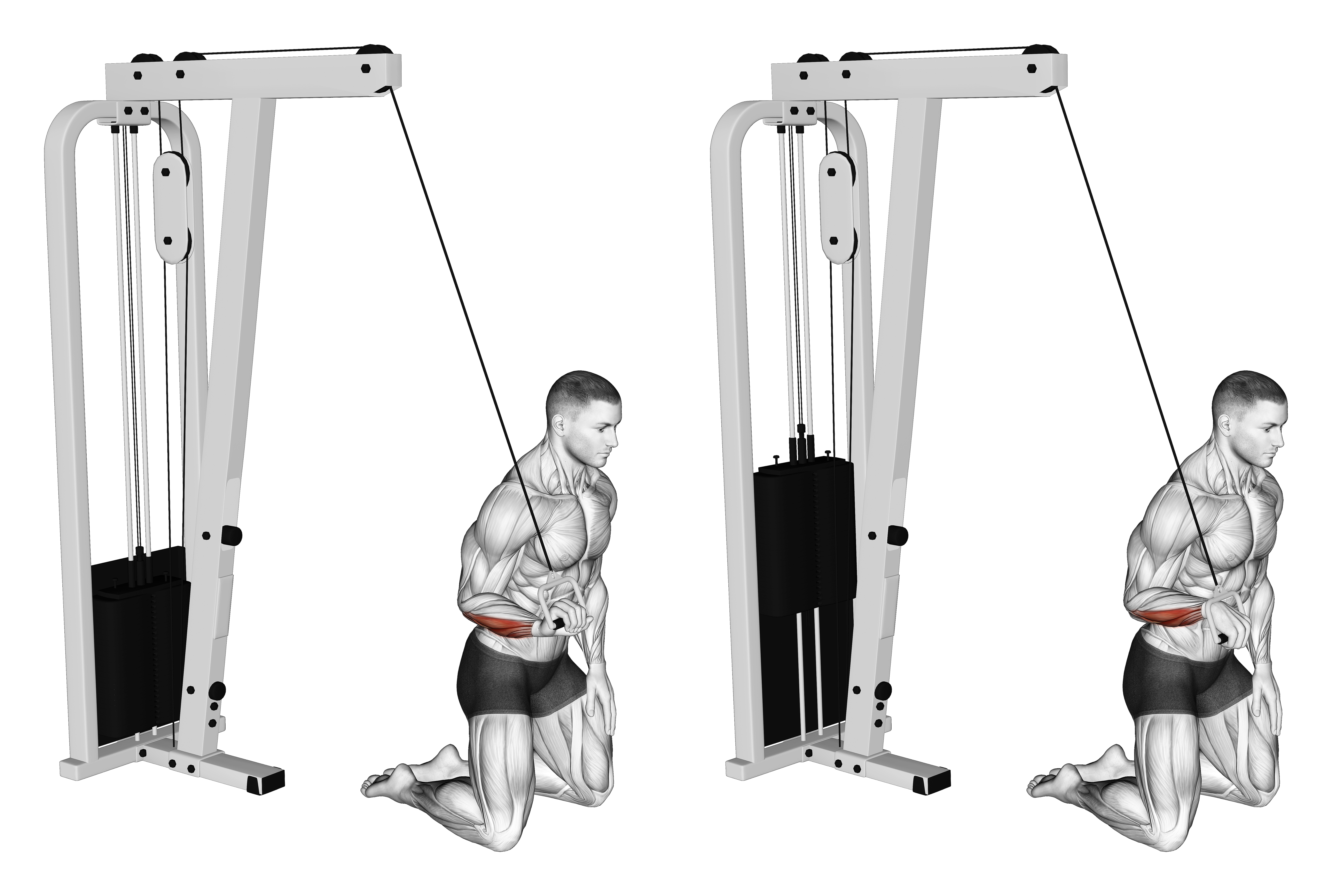 Cable One Arm Wrist Curl
