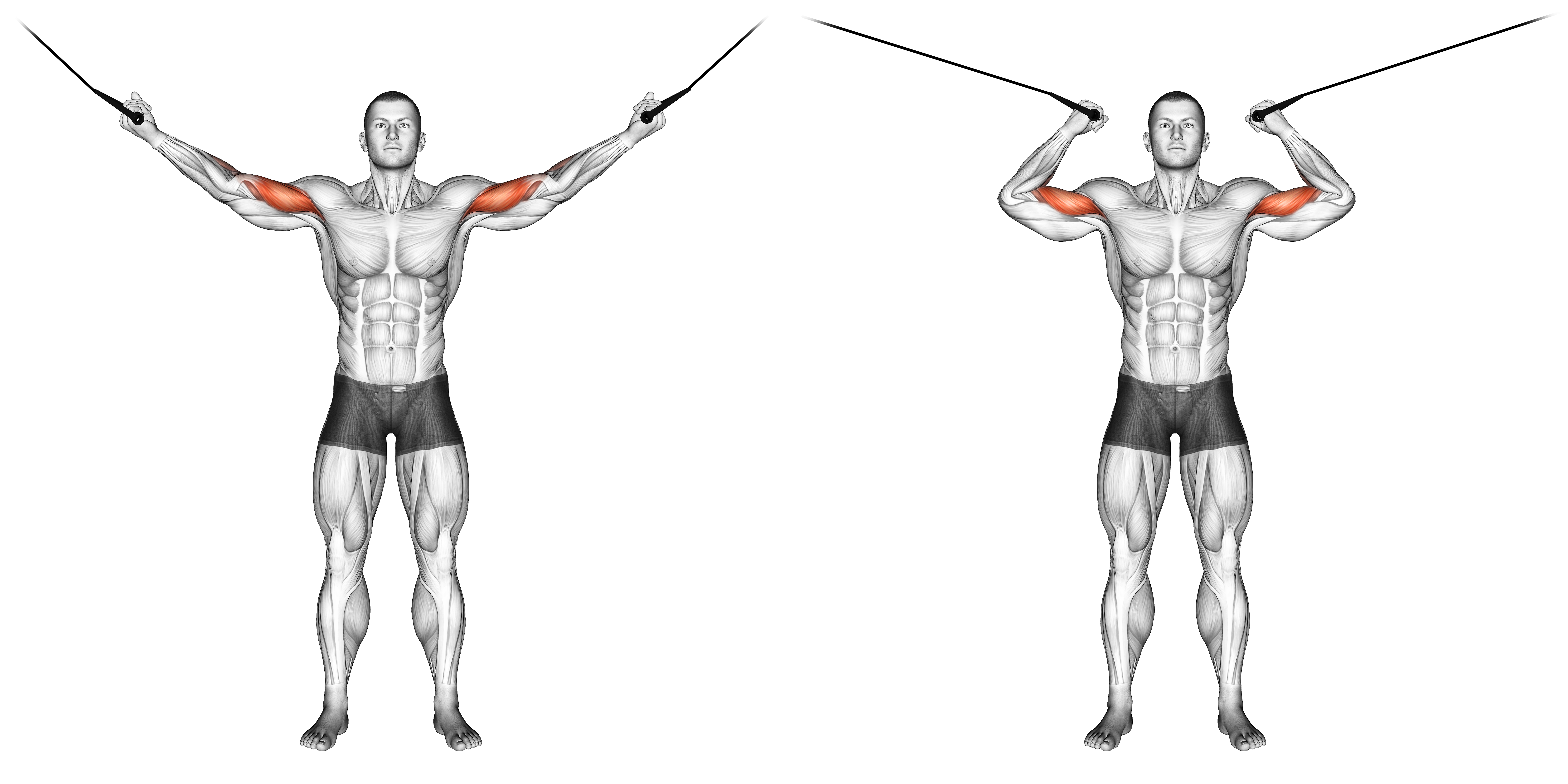 Cable Overhead Curl