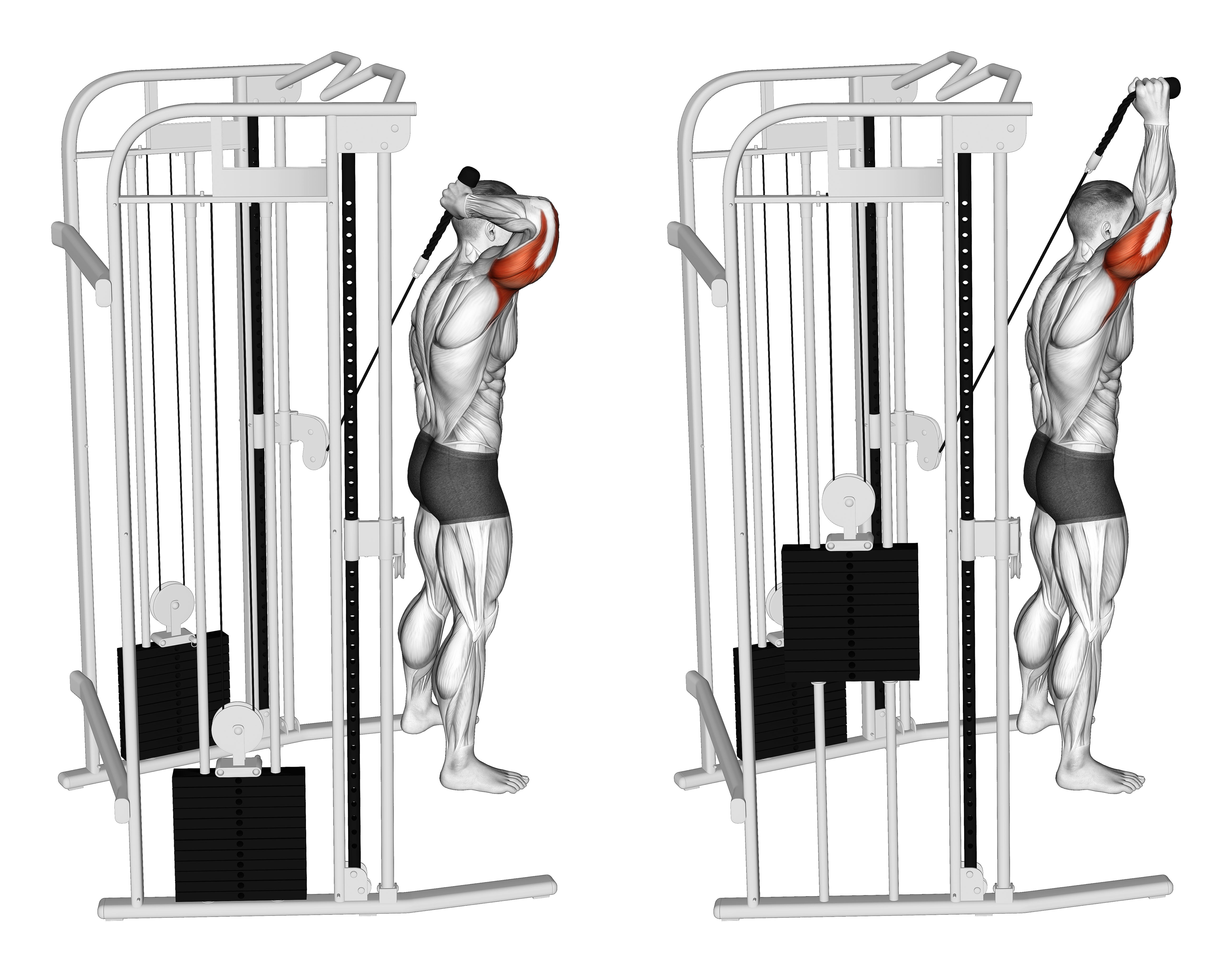 Cable Overhead Single Arm Triceps Extension (rope Attachment)