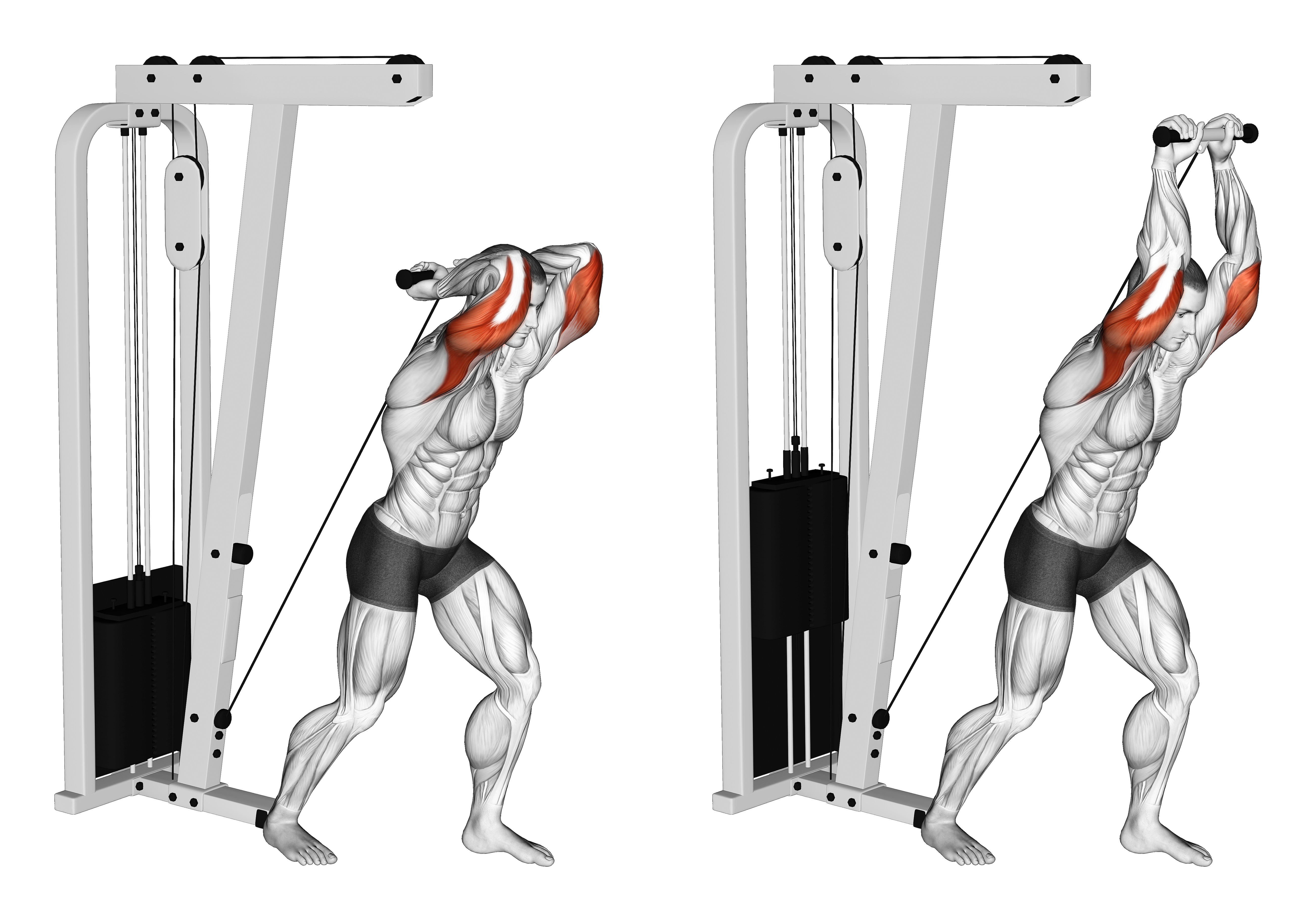 Cable Overhead Tricep Extension Straight Bar