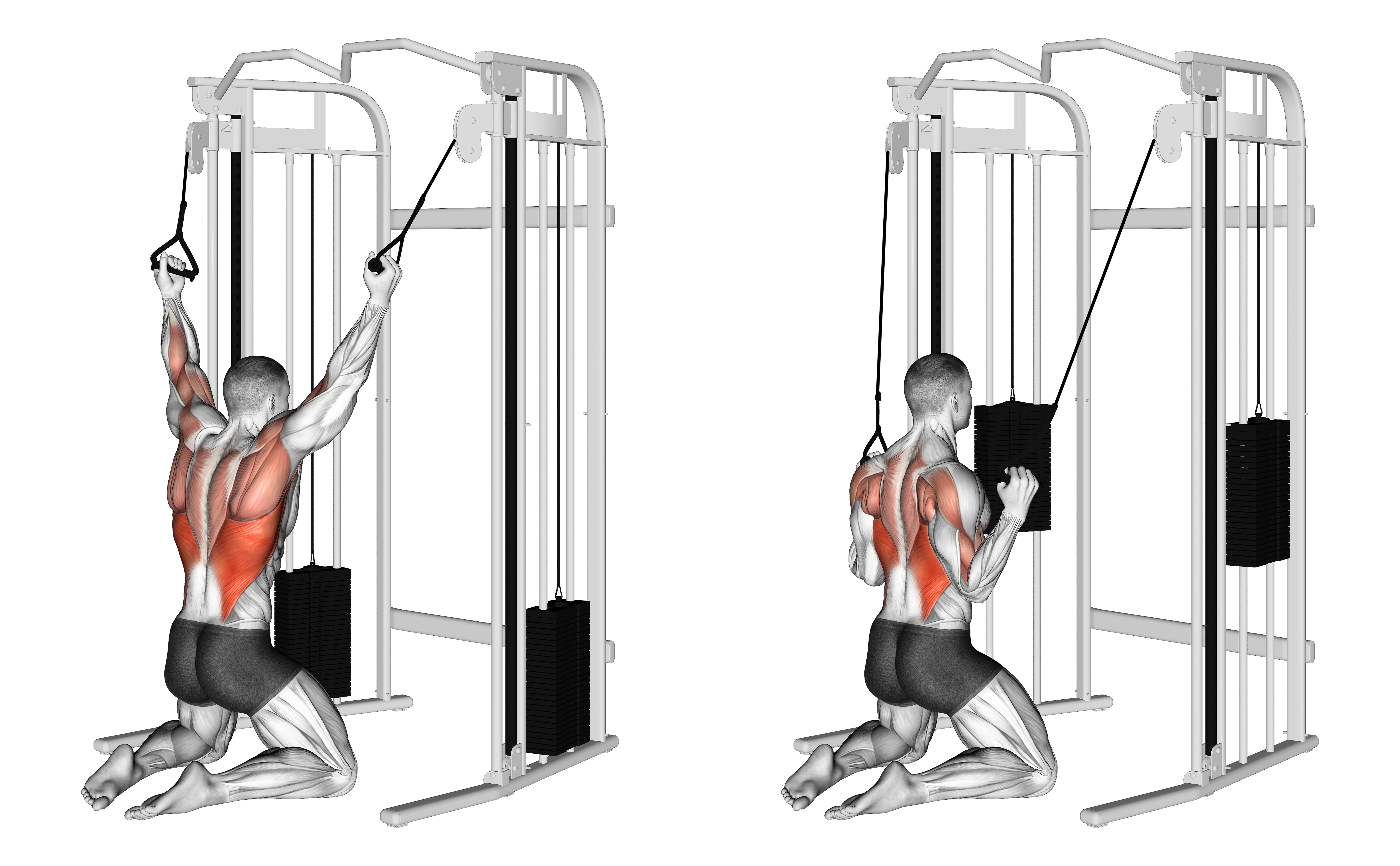 Cable Parallel Grip Lat Pulldown On Floor
