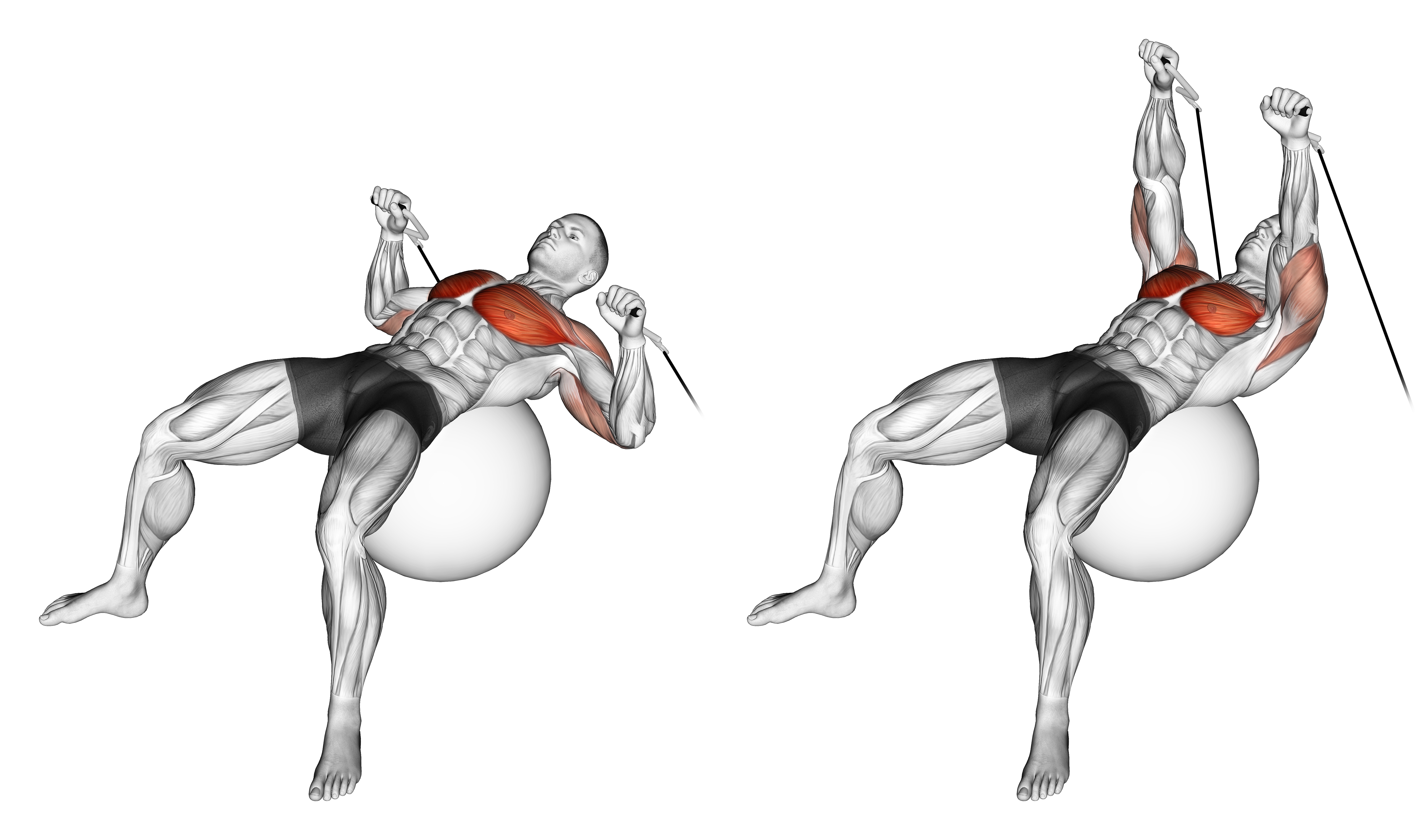 Cable Press On Exercise Ball
