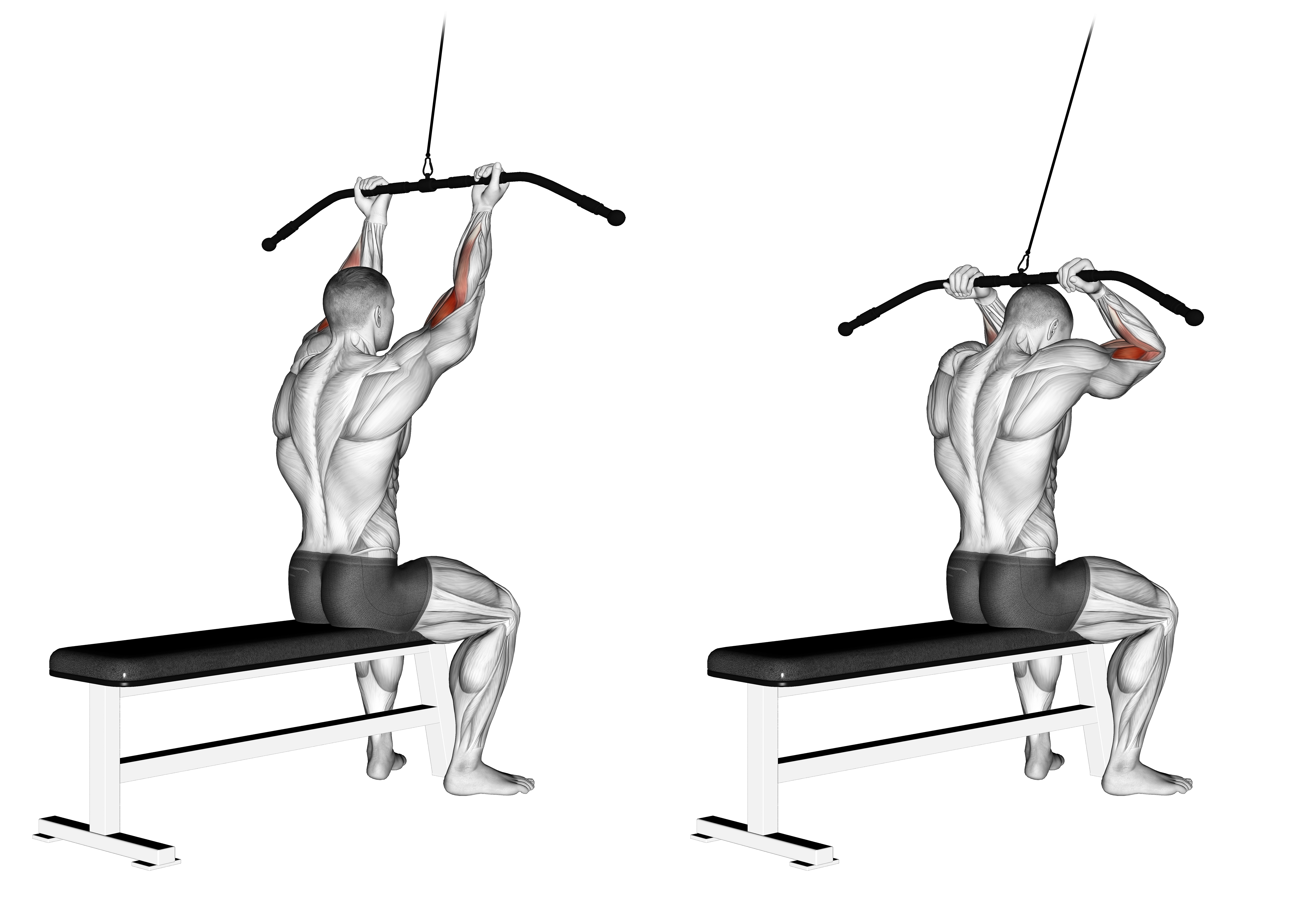 Cable Pulldown Bicep Curl
