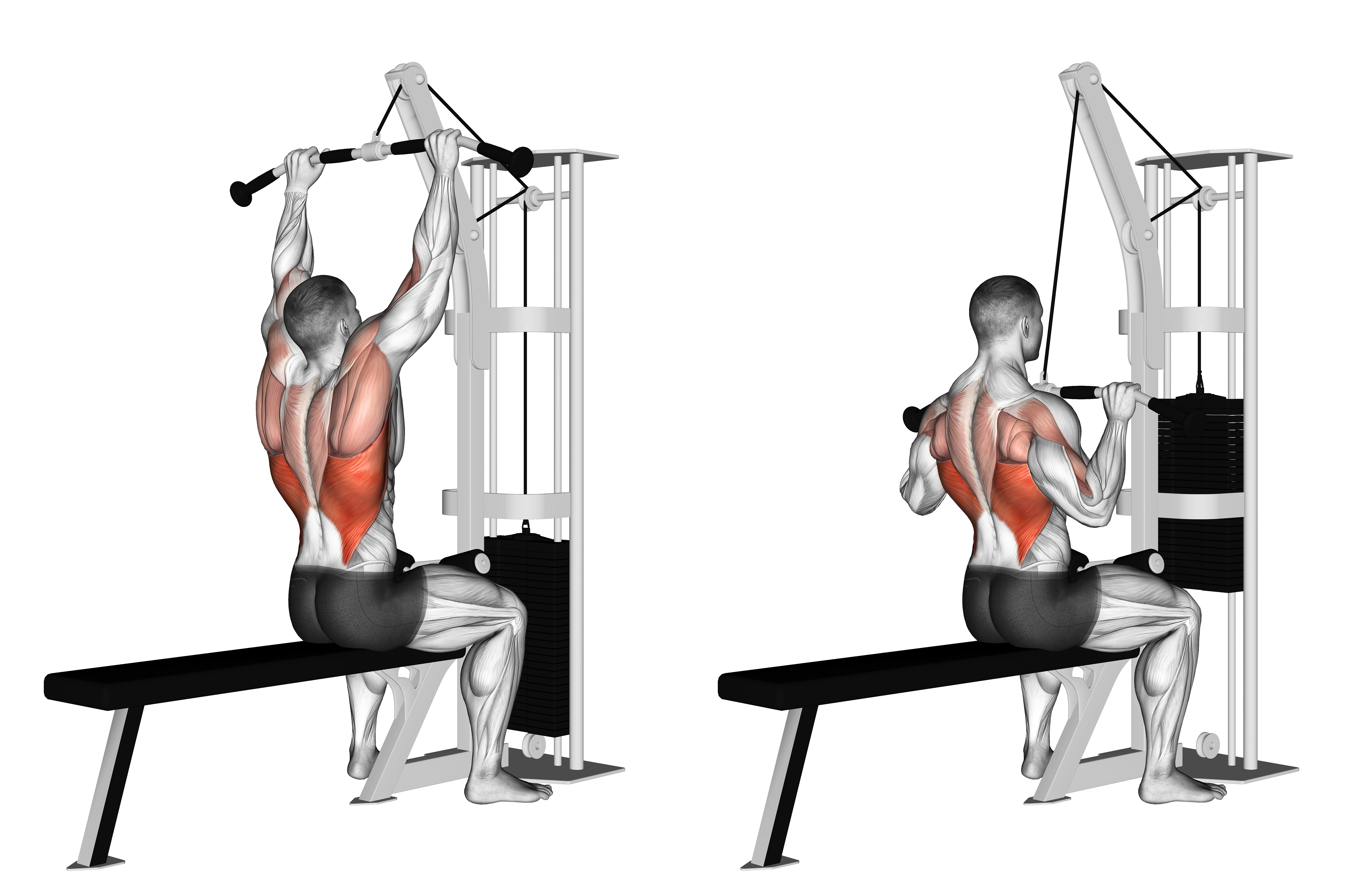 Cable Pulldown