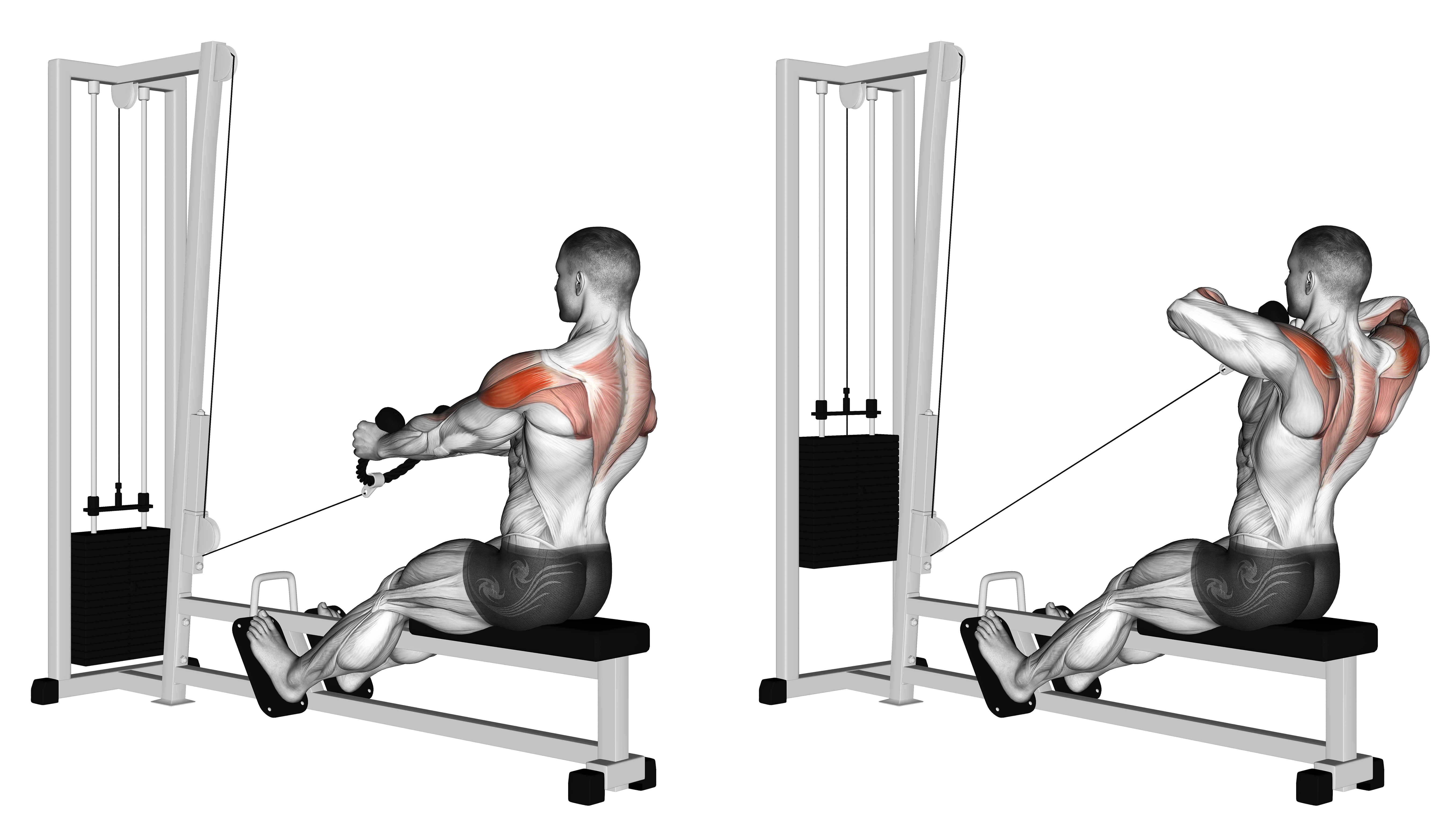 Cable Rear Delt Row (stirrups)