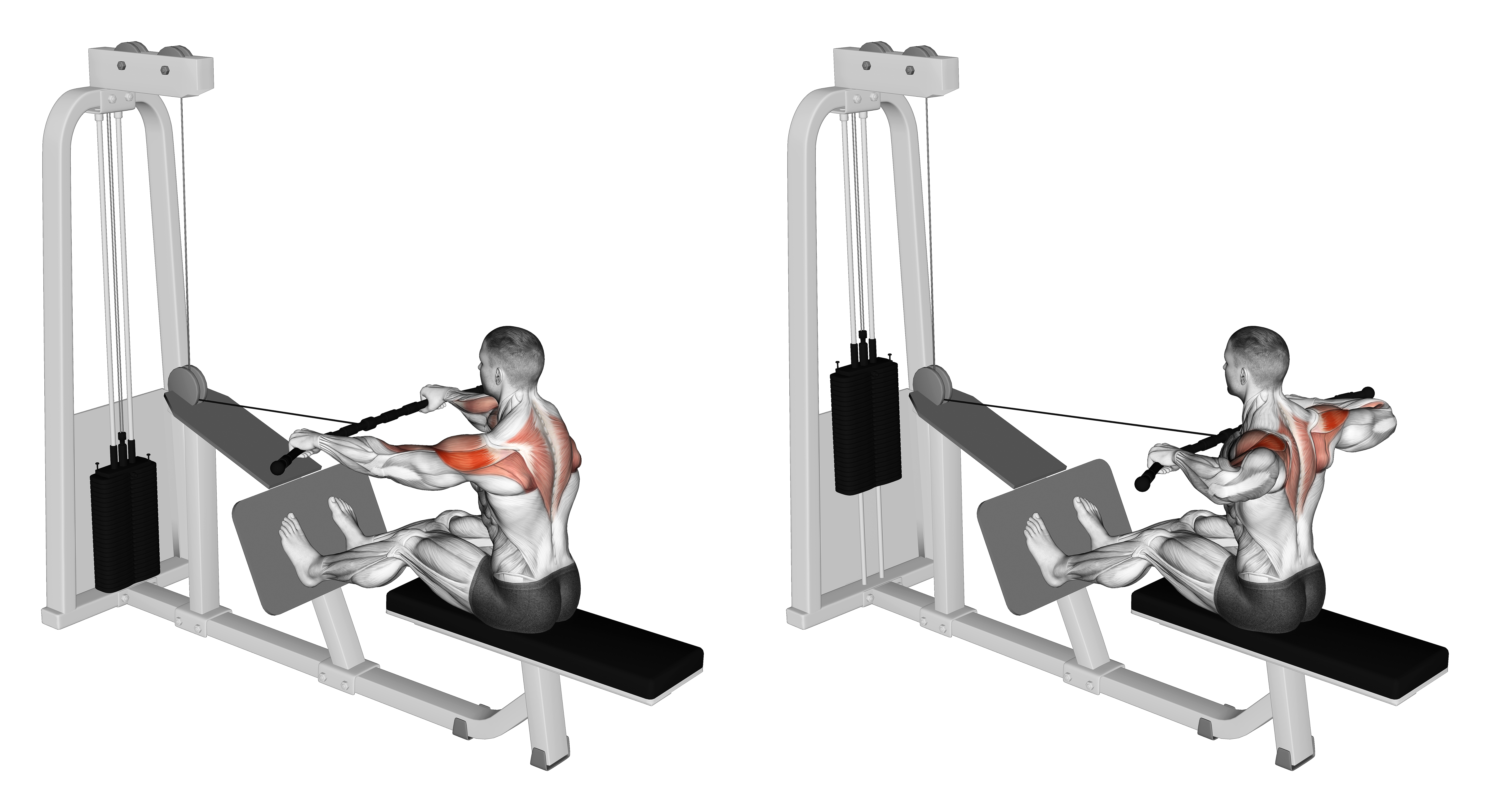Cable Rear Delt Row
