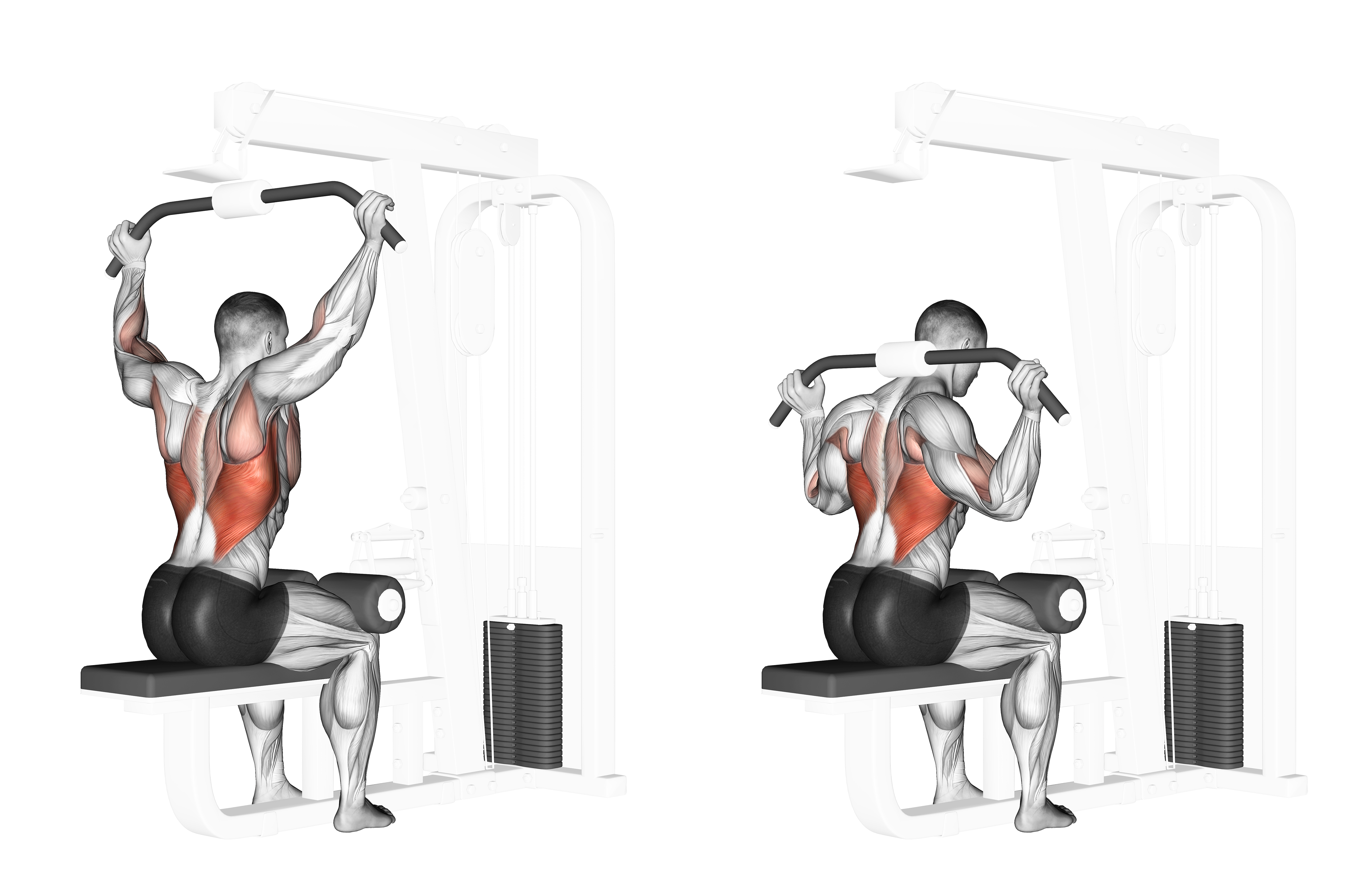 Cable Rear Pulldown