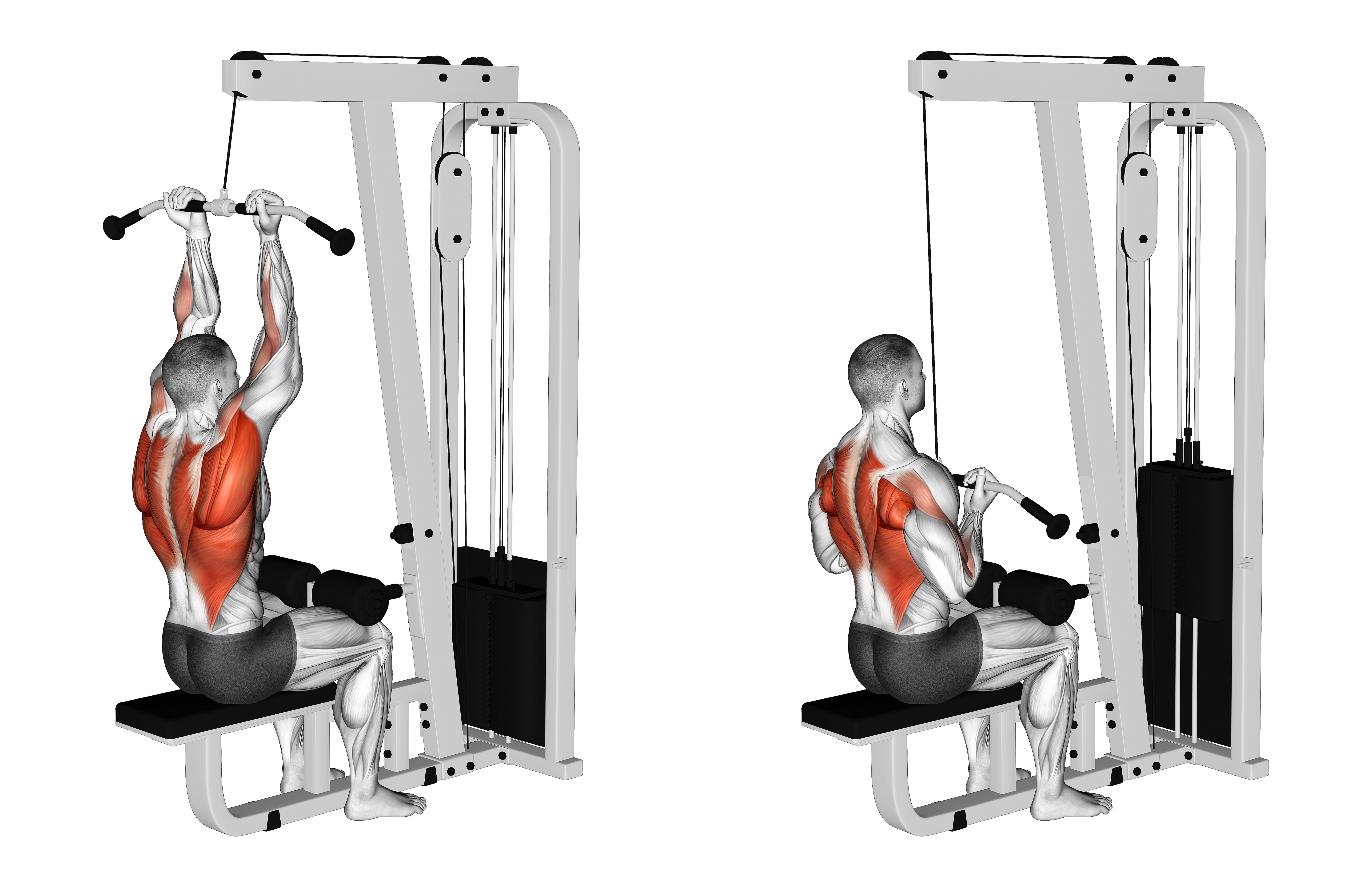 Cable Reverse Grip Pulldown