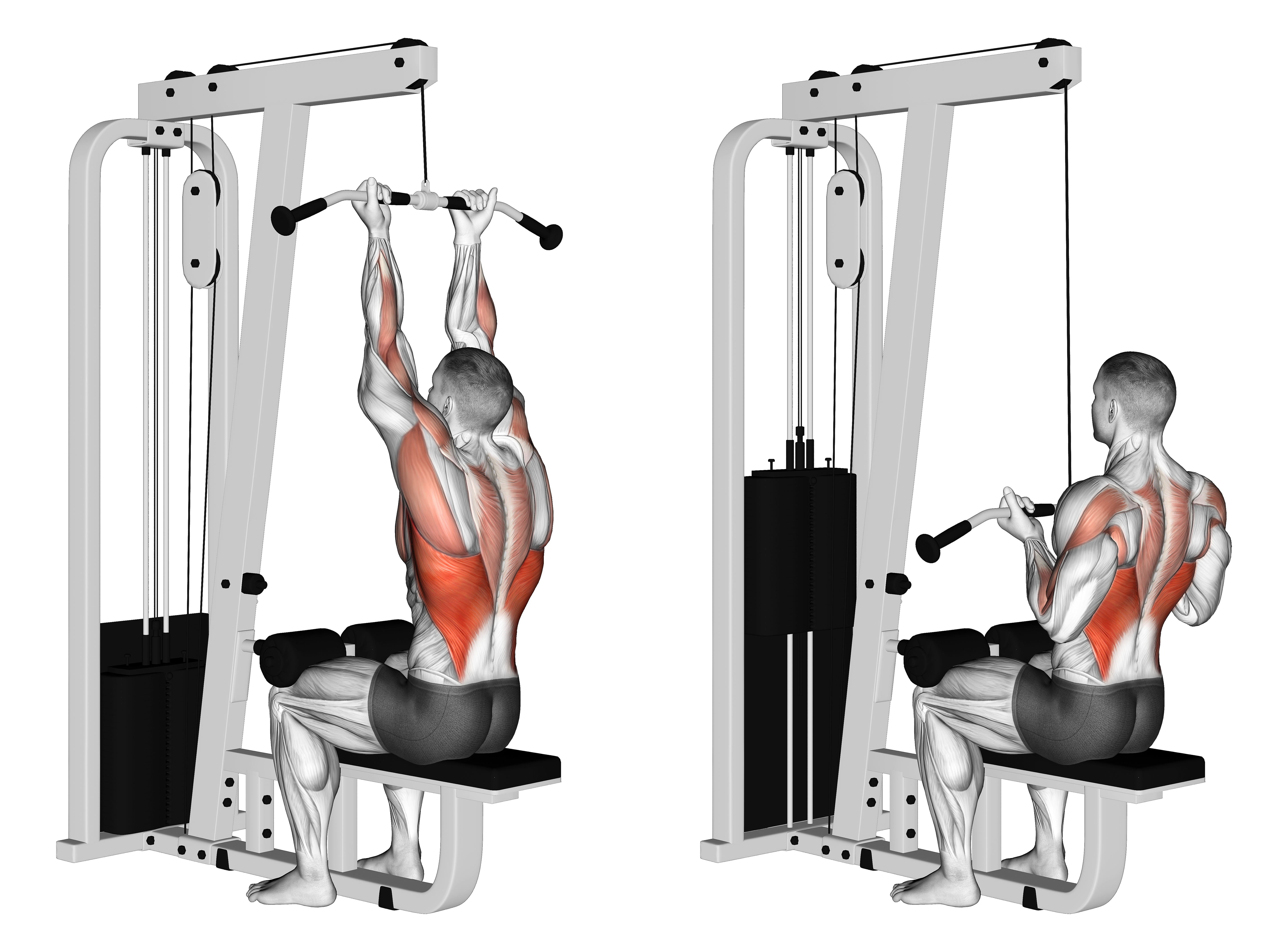 Cable Reverse Grip Straight Back Seated High Row