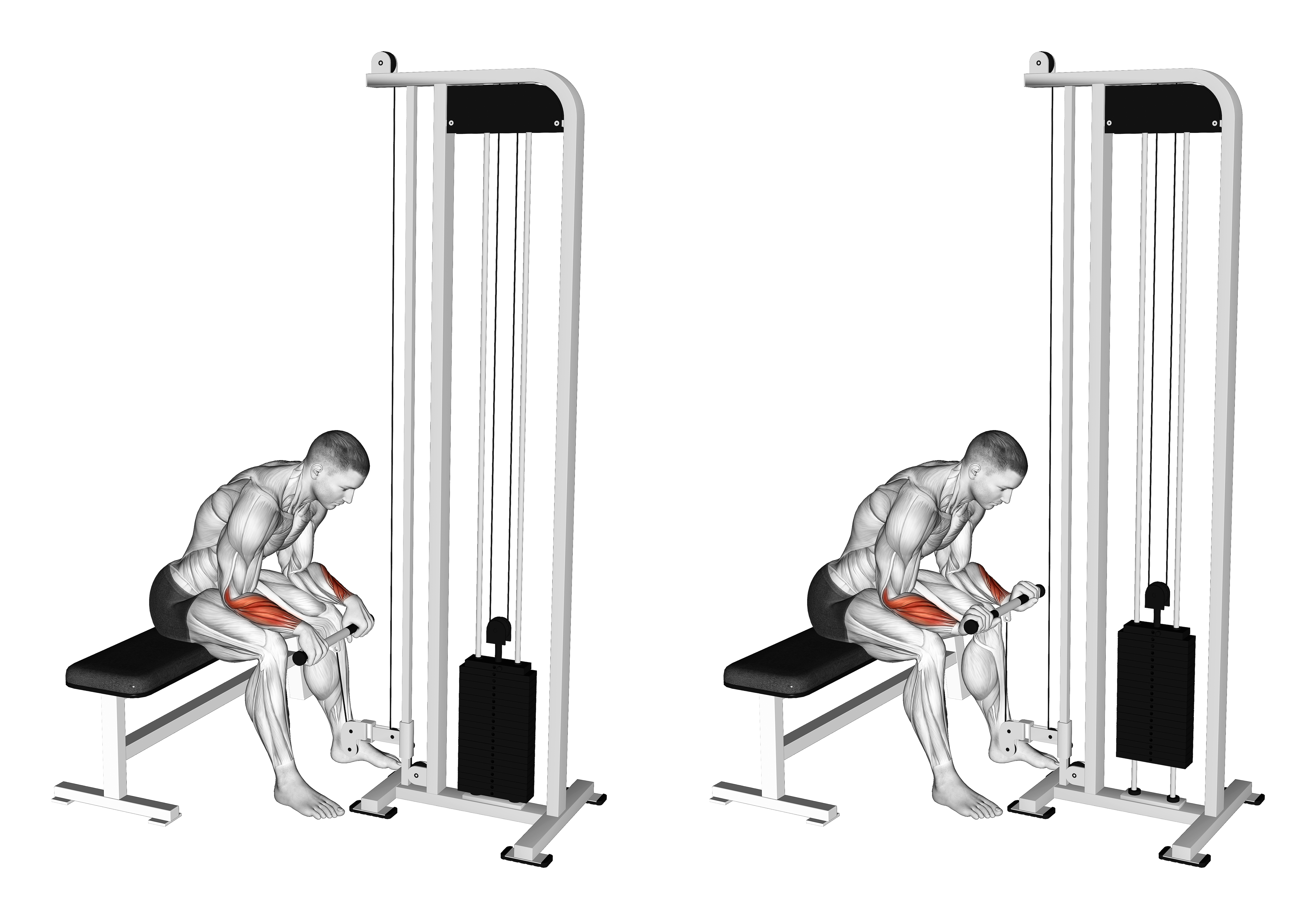 Cable Reverse Wrist Curl