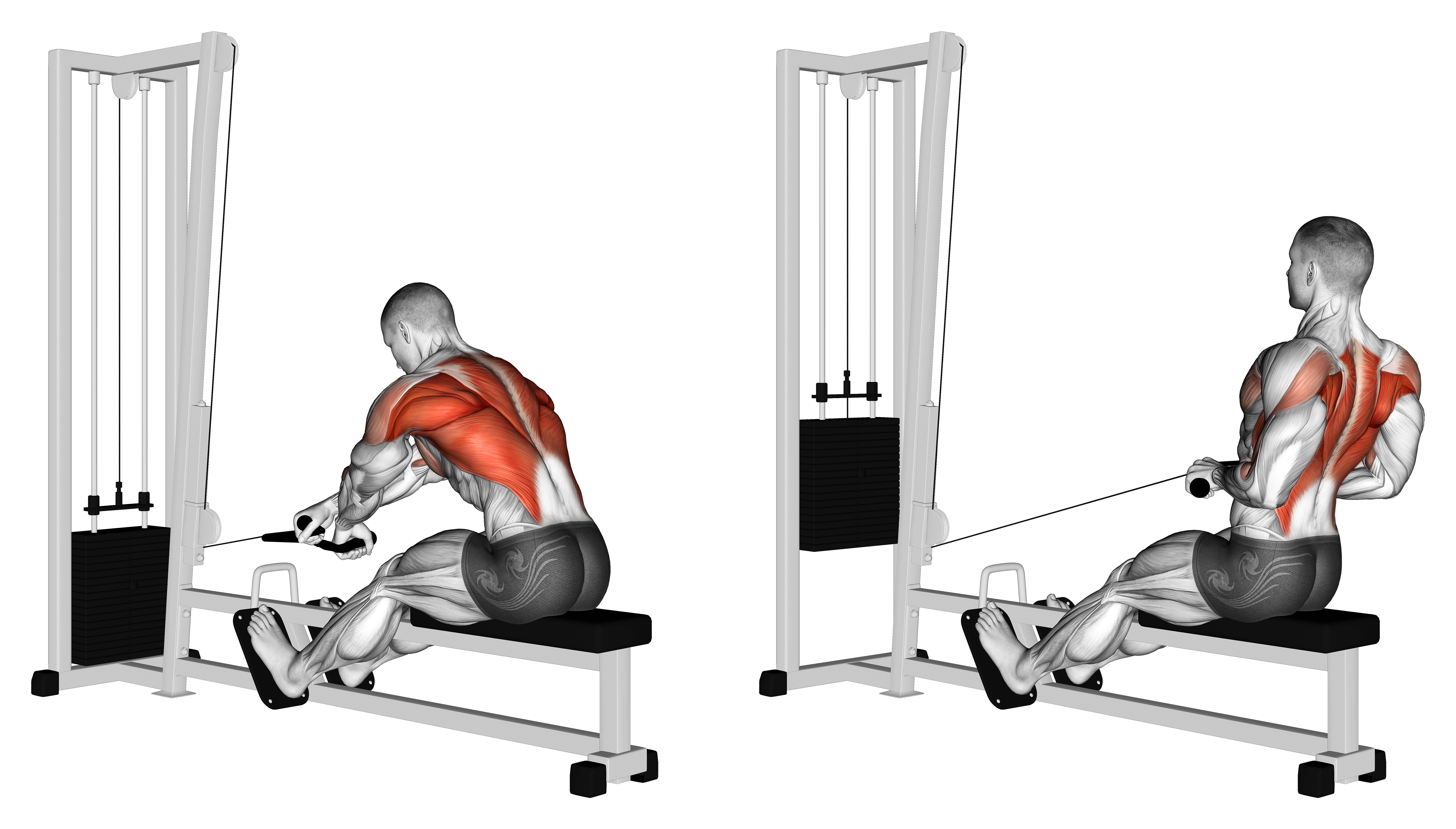 Cable Rope Crossover Seated Row