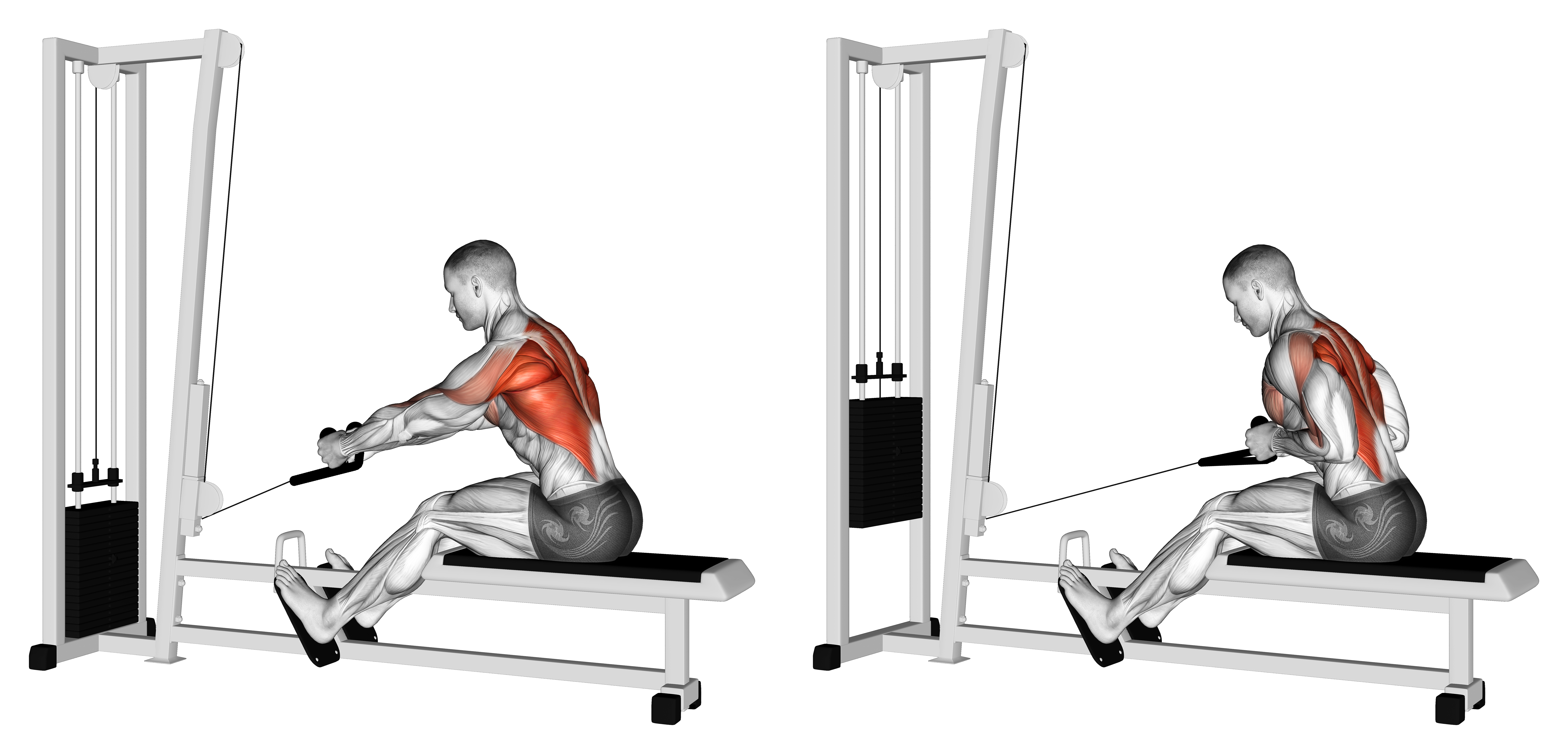 Cable Rope Elevated Seated Row