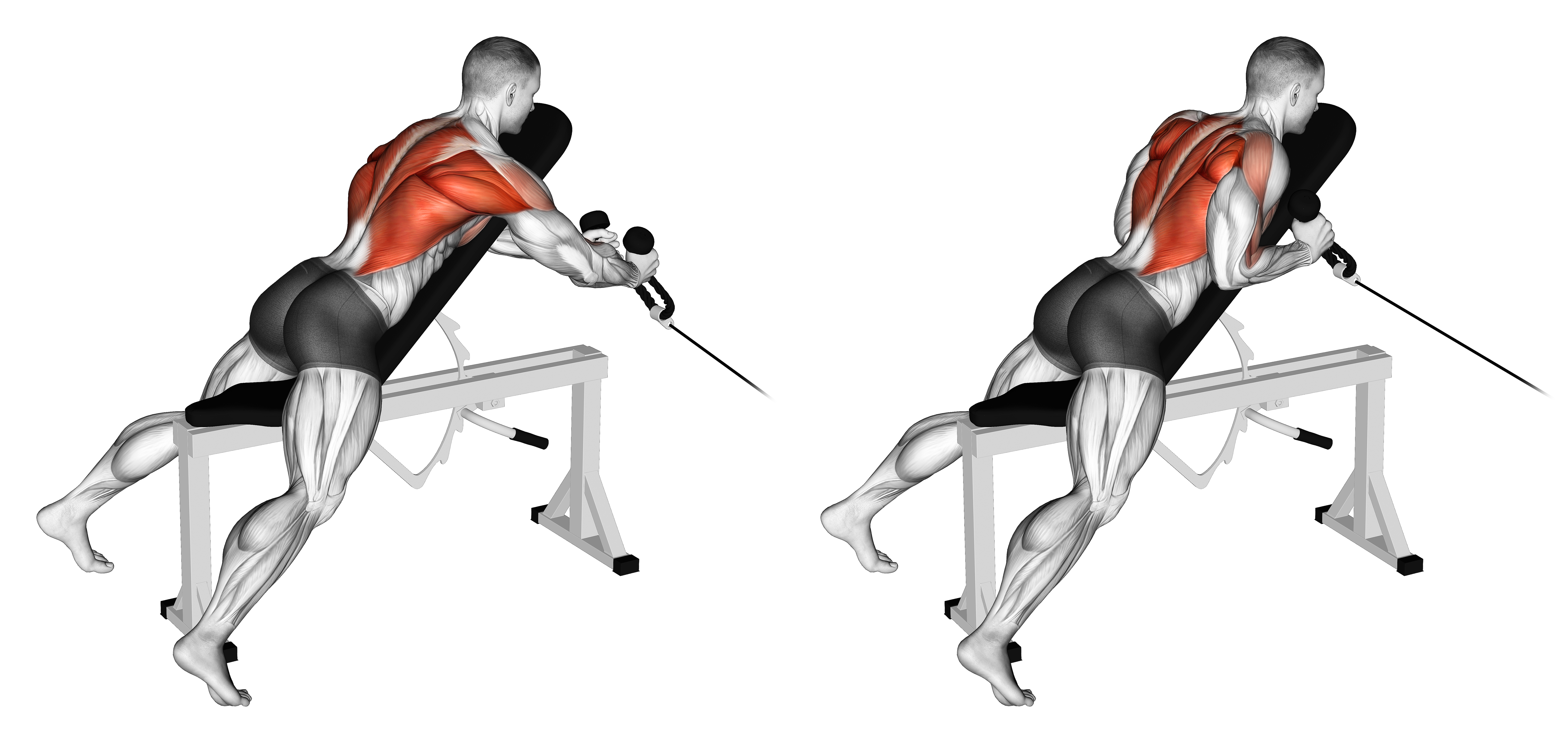 Cable Rope Extension Incline Bench Row