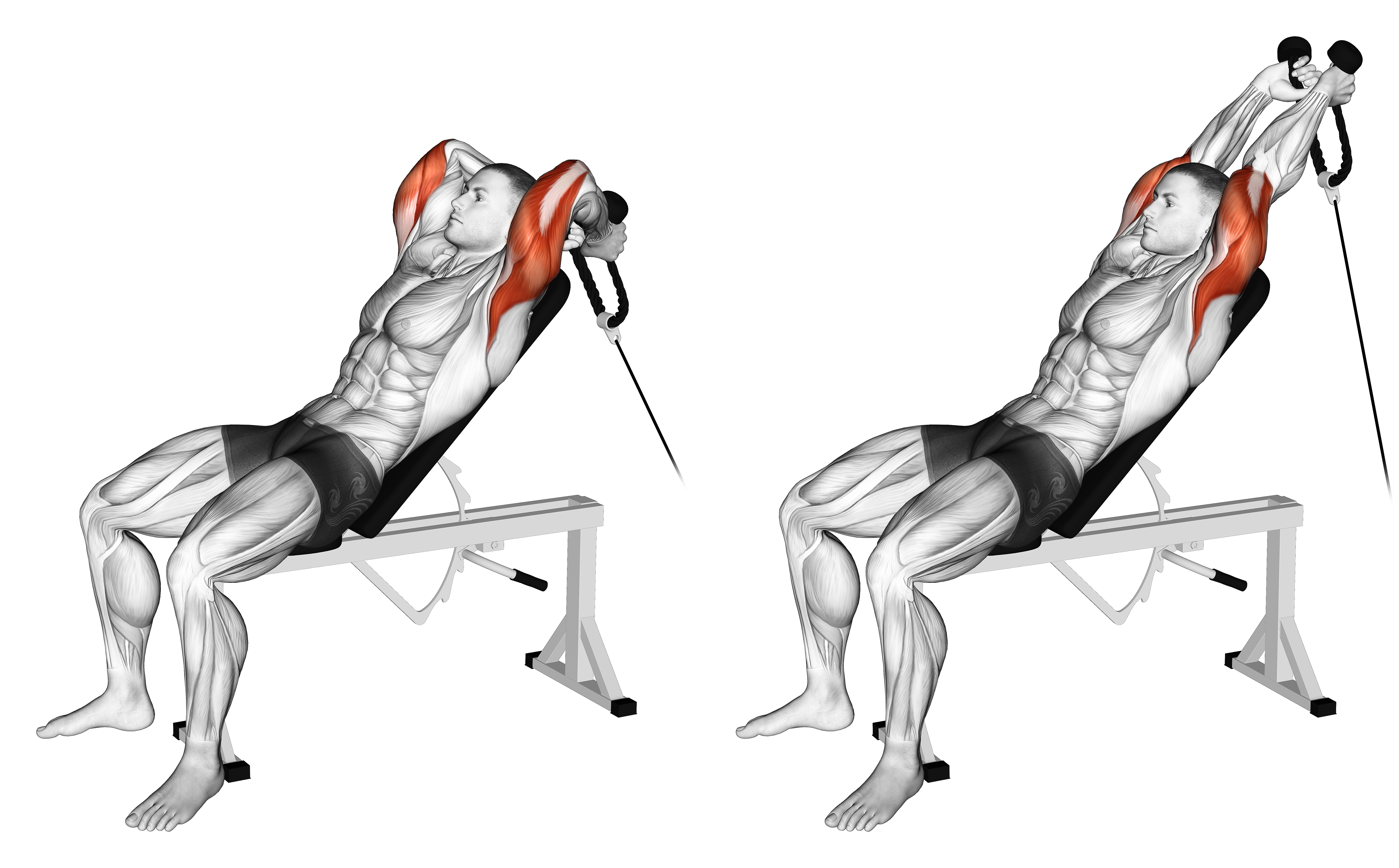 Cable Rope Incline Tricep Extension