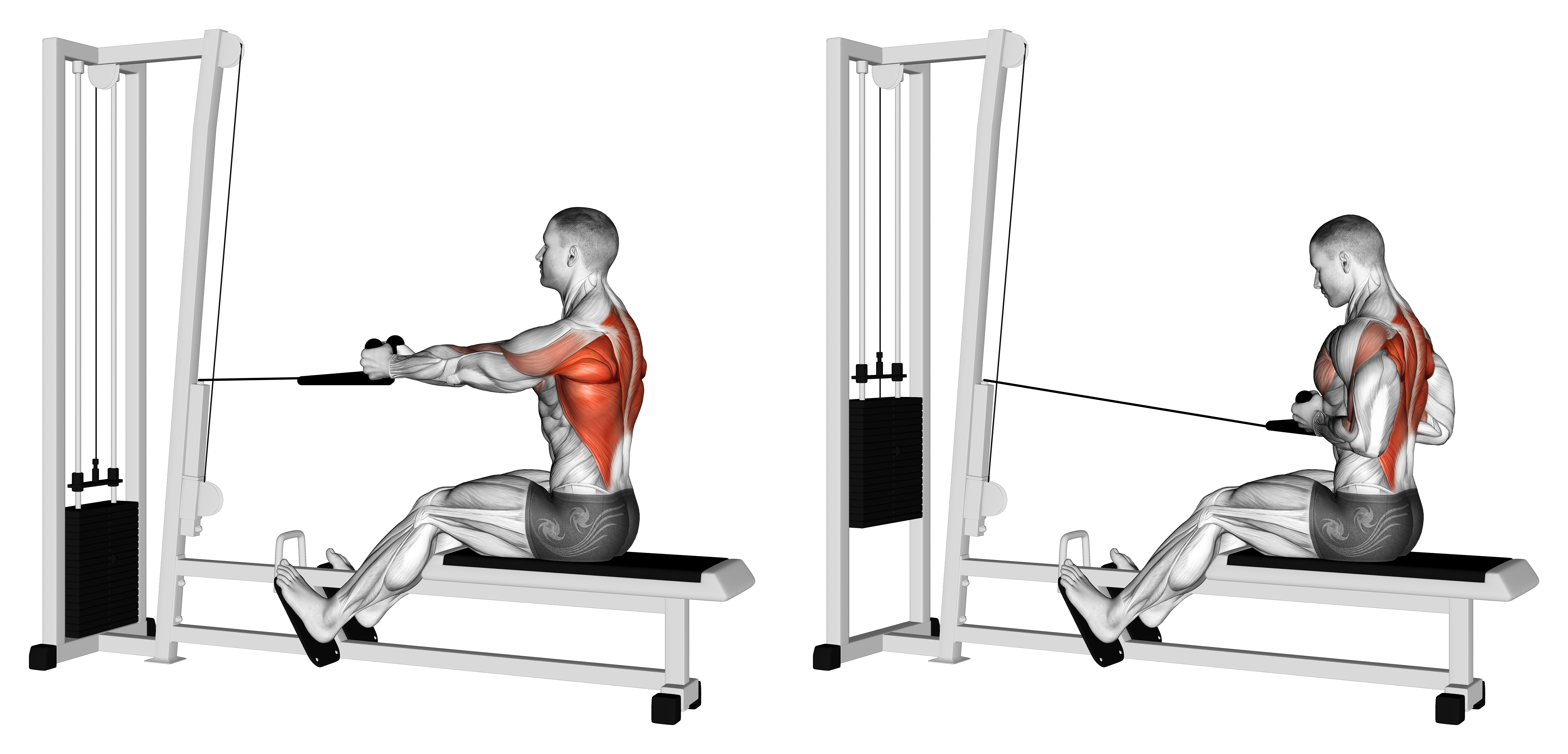 Cable Rope Seated Row