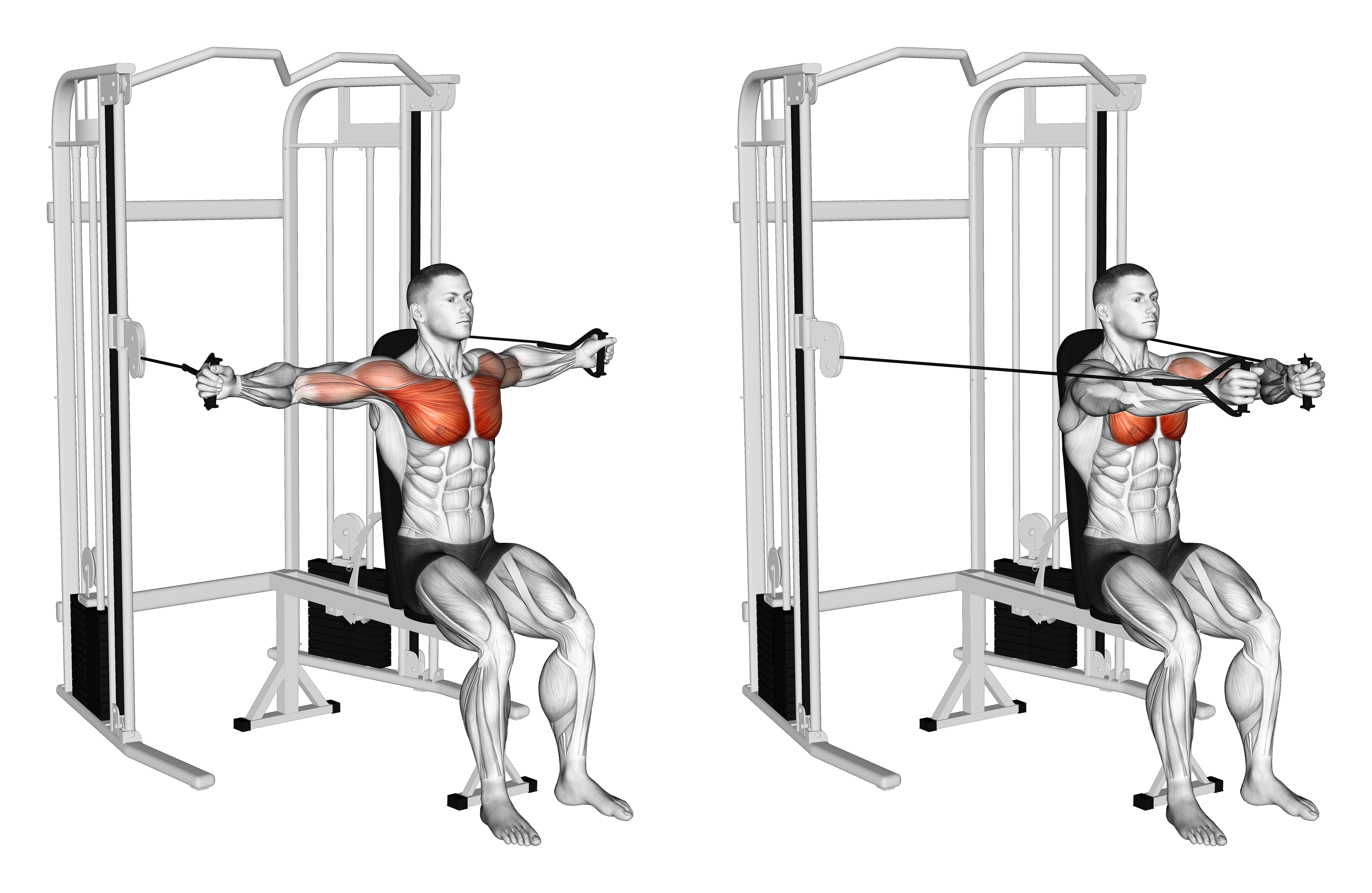 Cable Seated Chest Fly