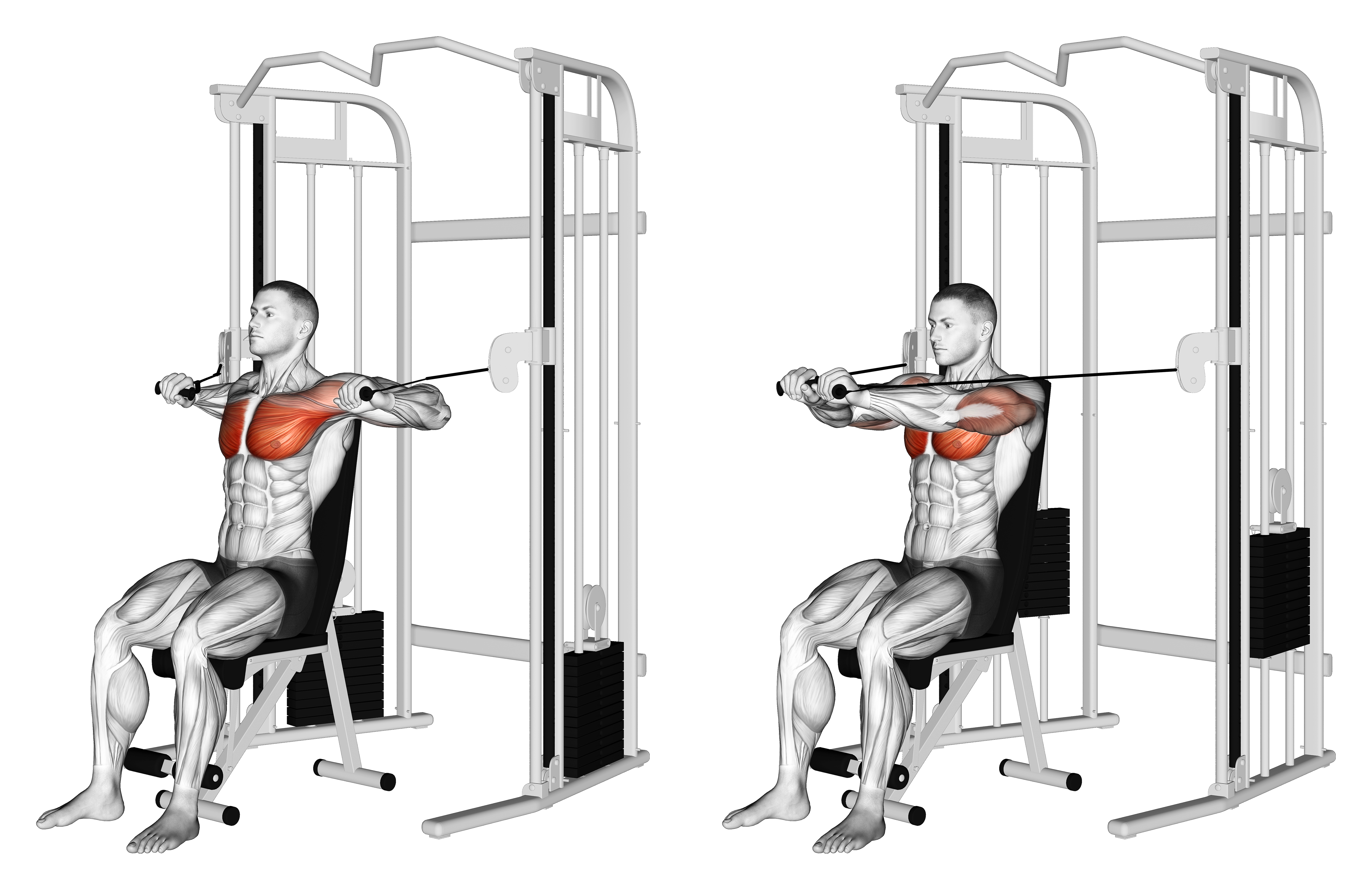 Cable Seated Chest Press