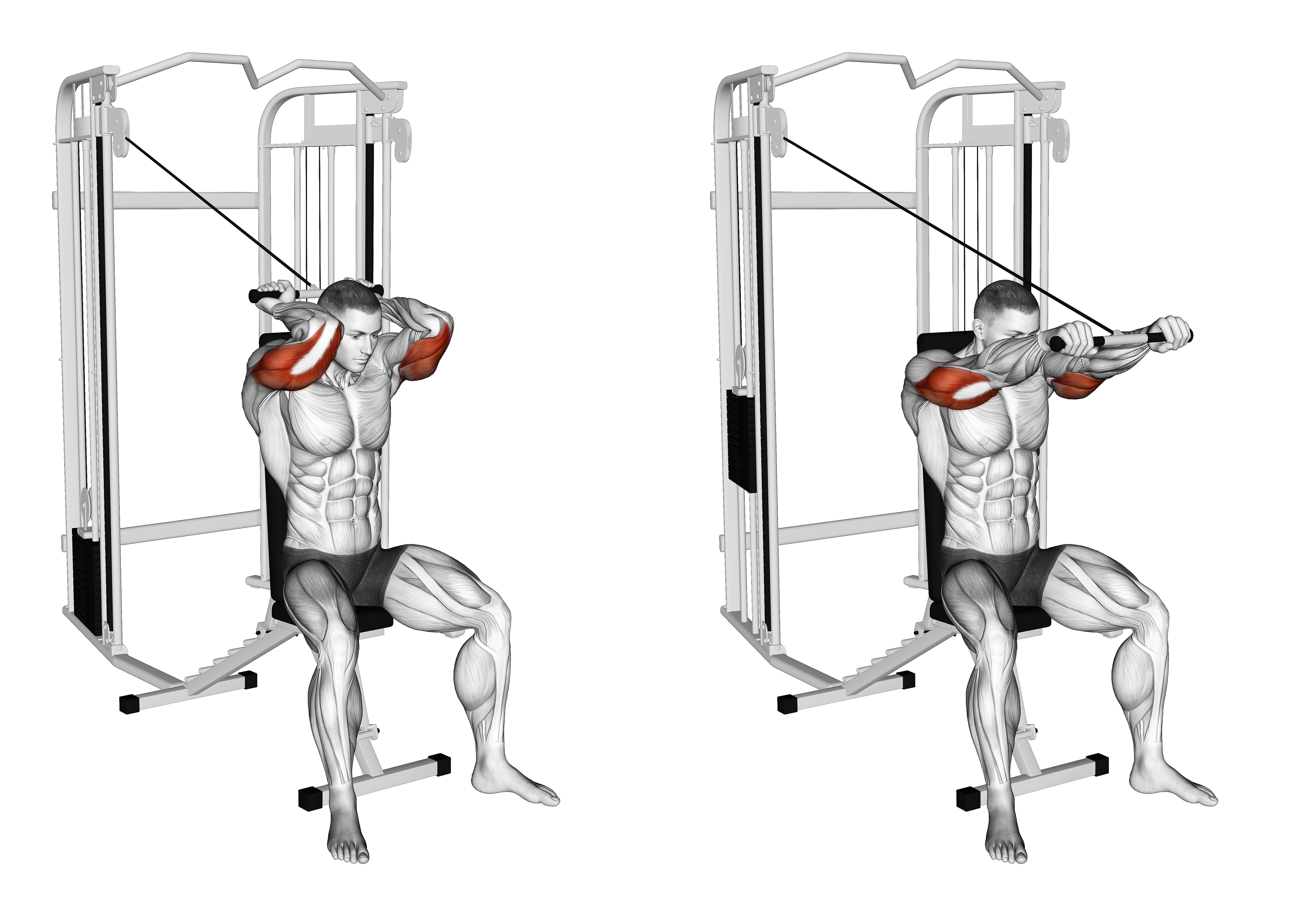 Cable Seated High Pulley Overhead Tricep Extension