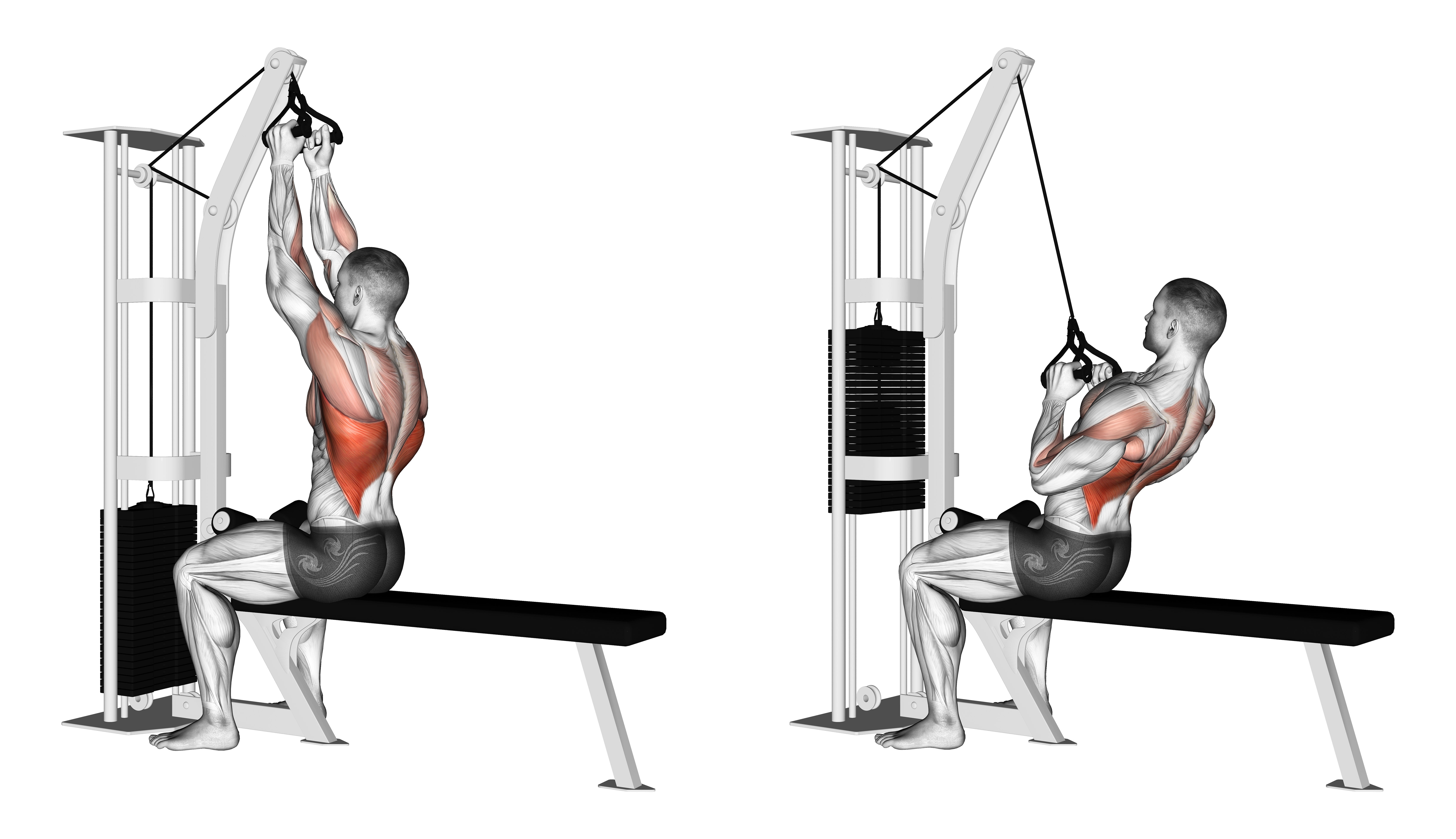 Cable Seated High Row (v Bar)
