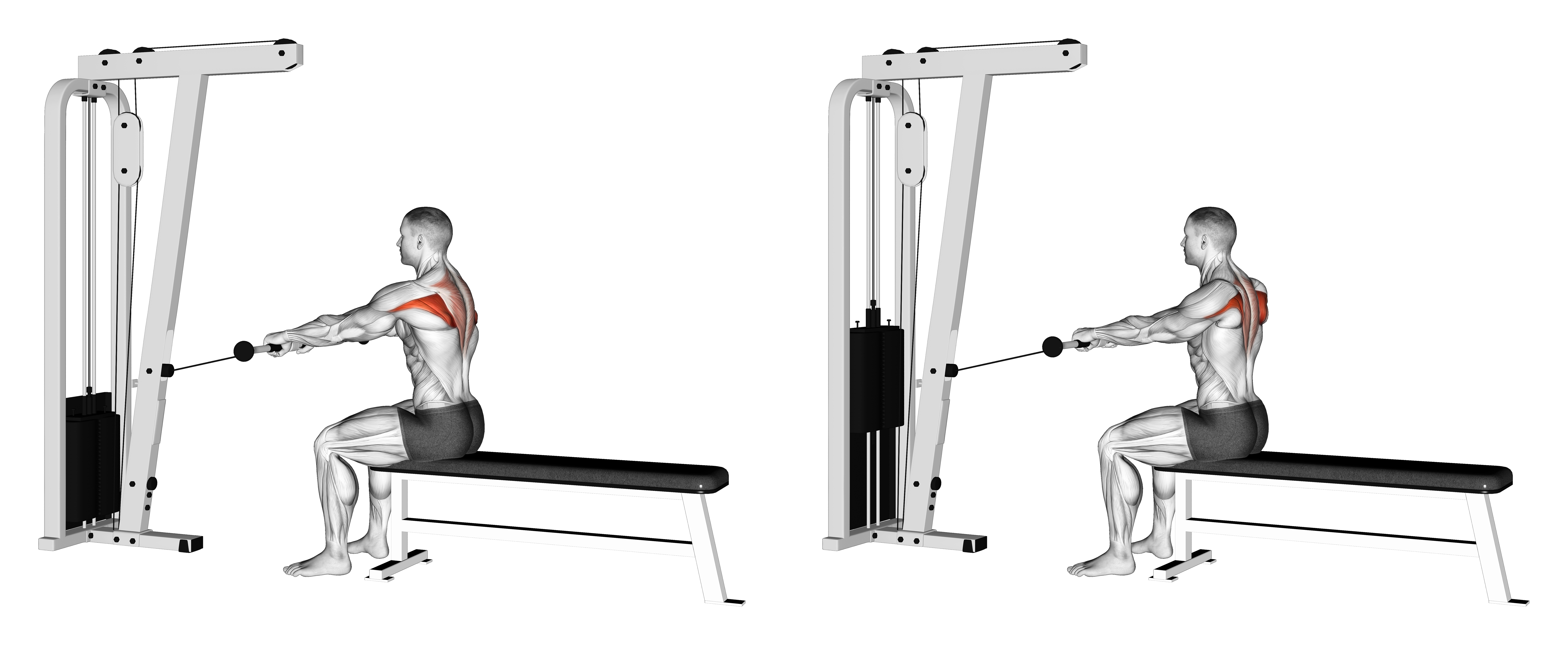 Cable Seated Horizontal Shrug