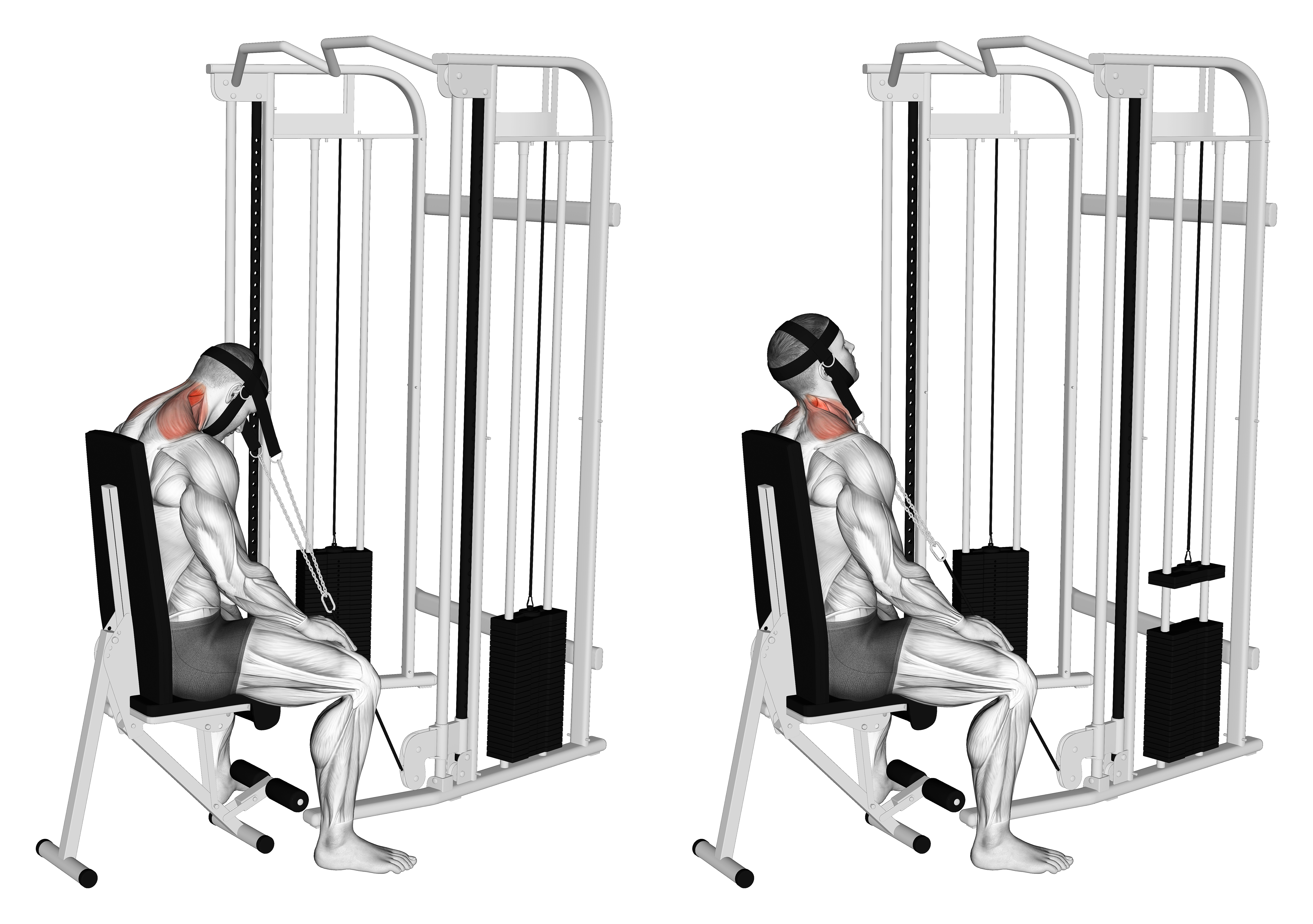 Cable Seated Neck Extension (with Head Harness)