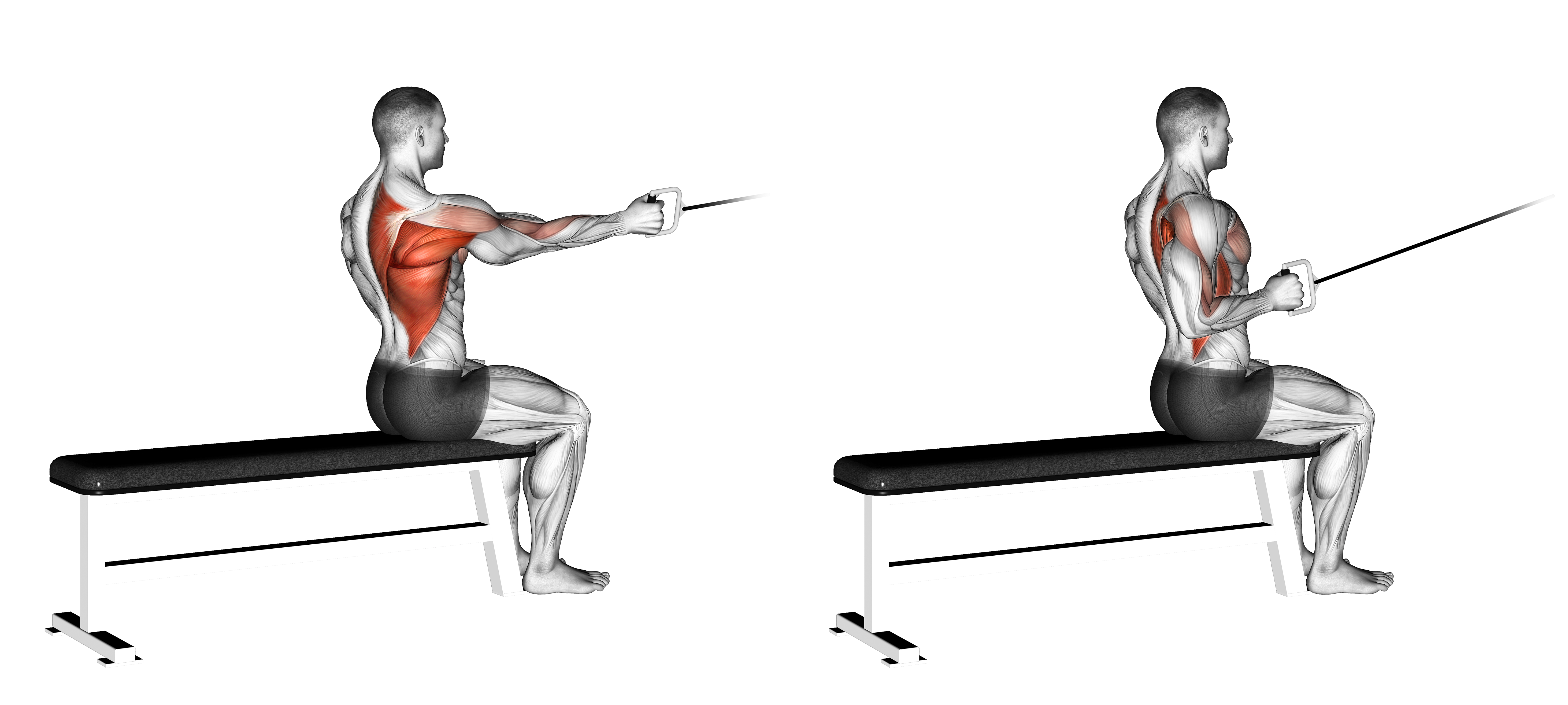 Cable Seated One Arm Alternate Row