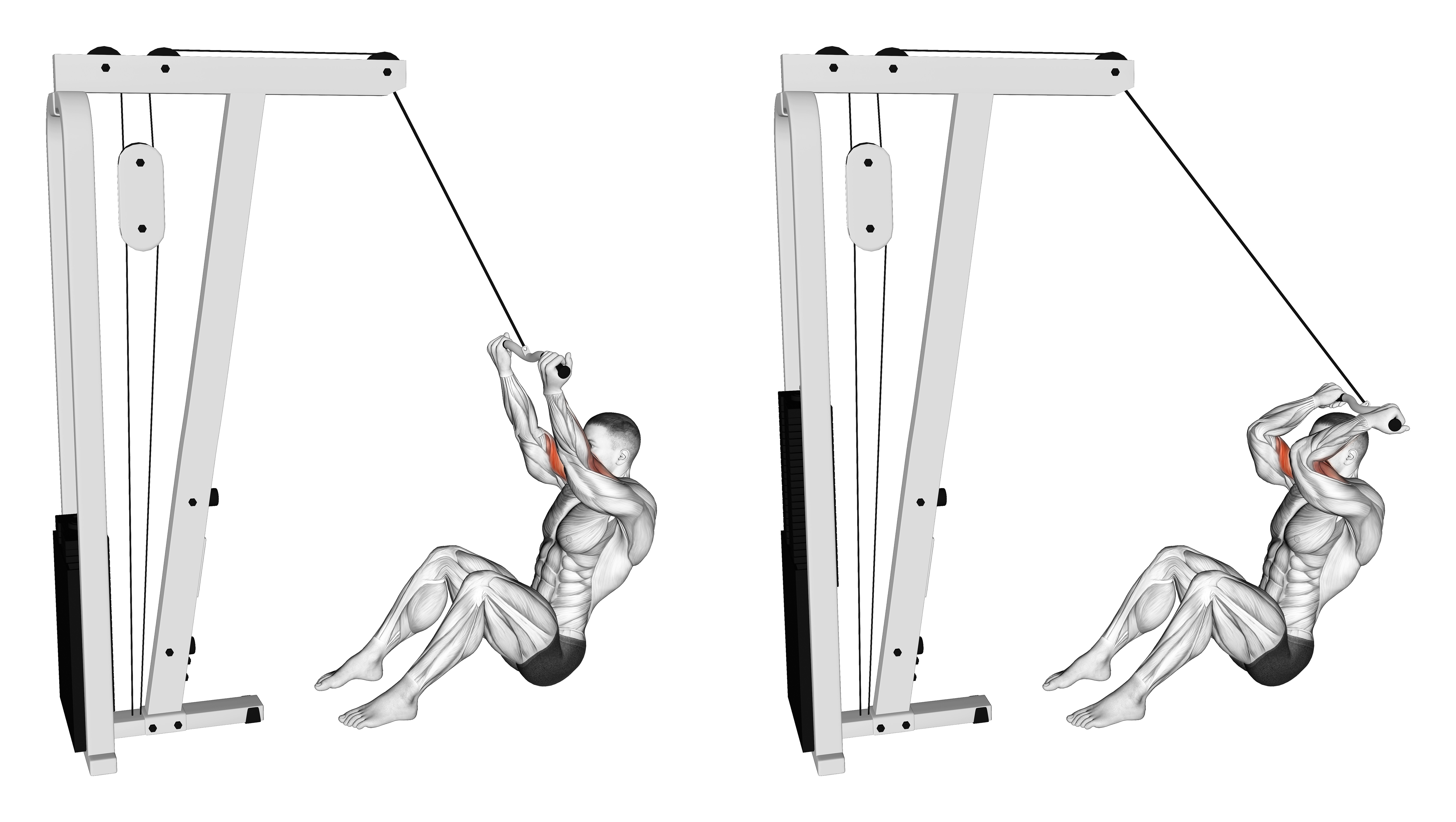 Cable Seated Overhead Curl (sz Bar)