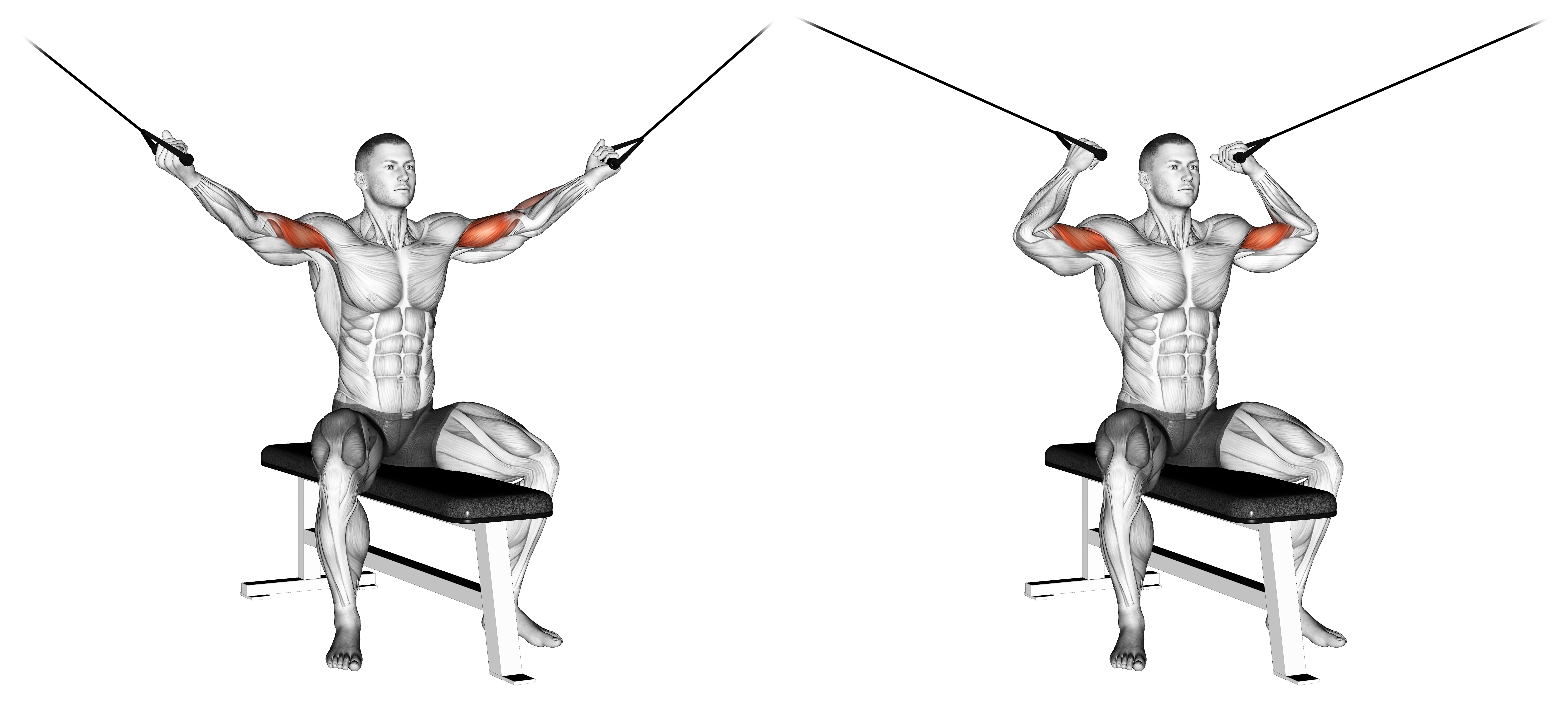 Cable Seated Overhead Curl