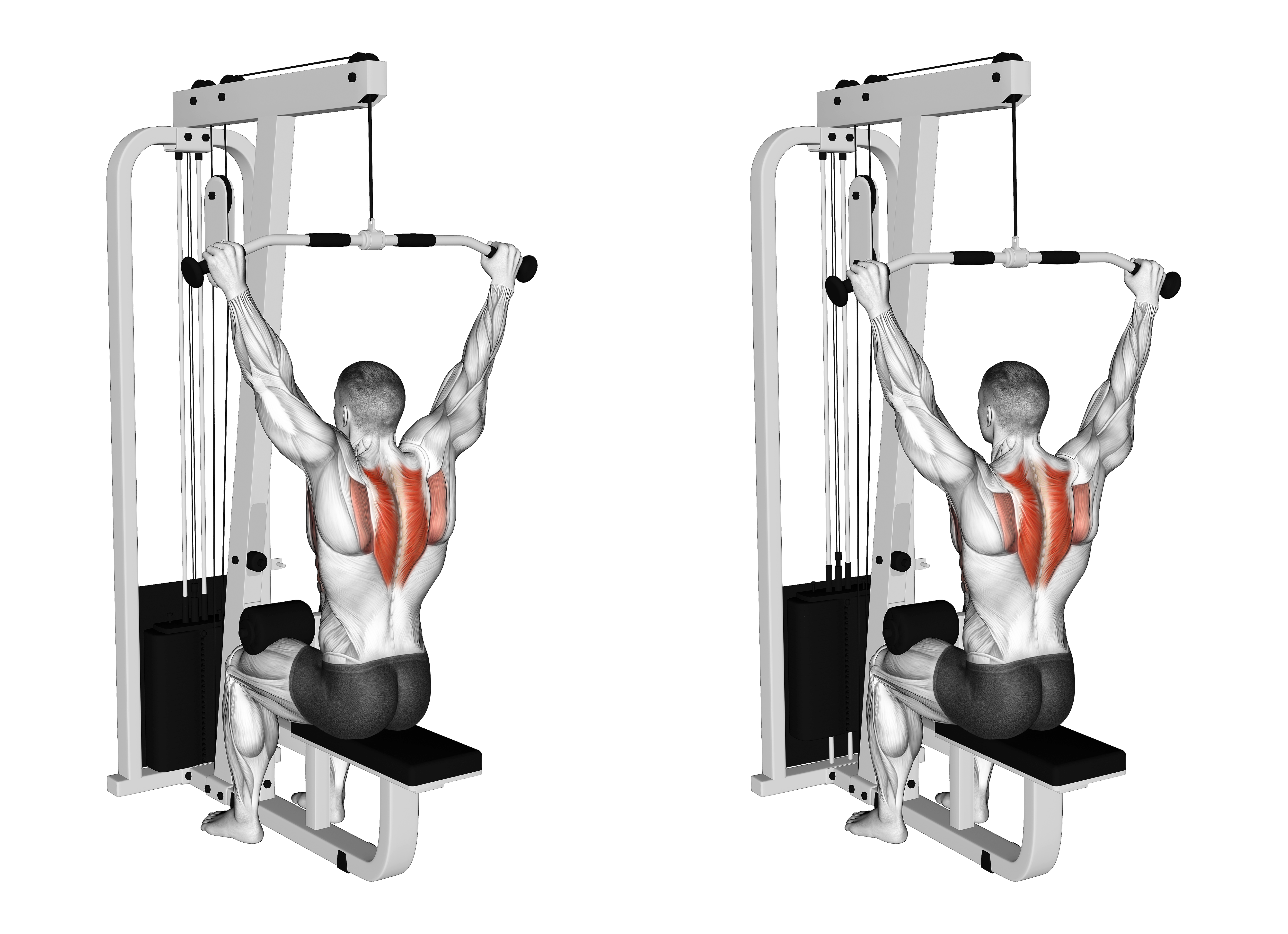 Cable Seated Reverse Shrug
