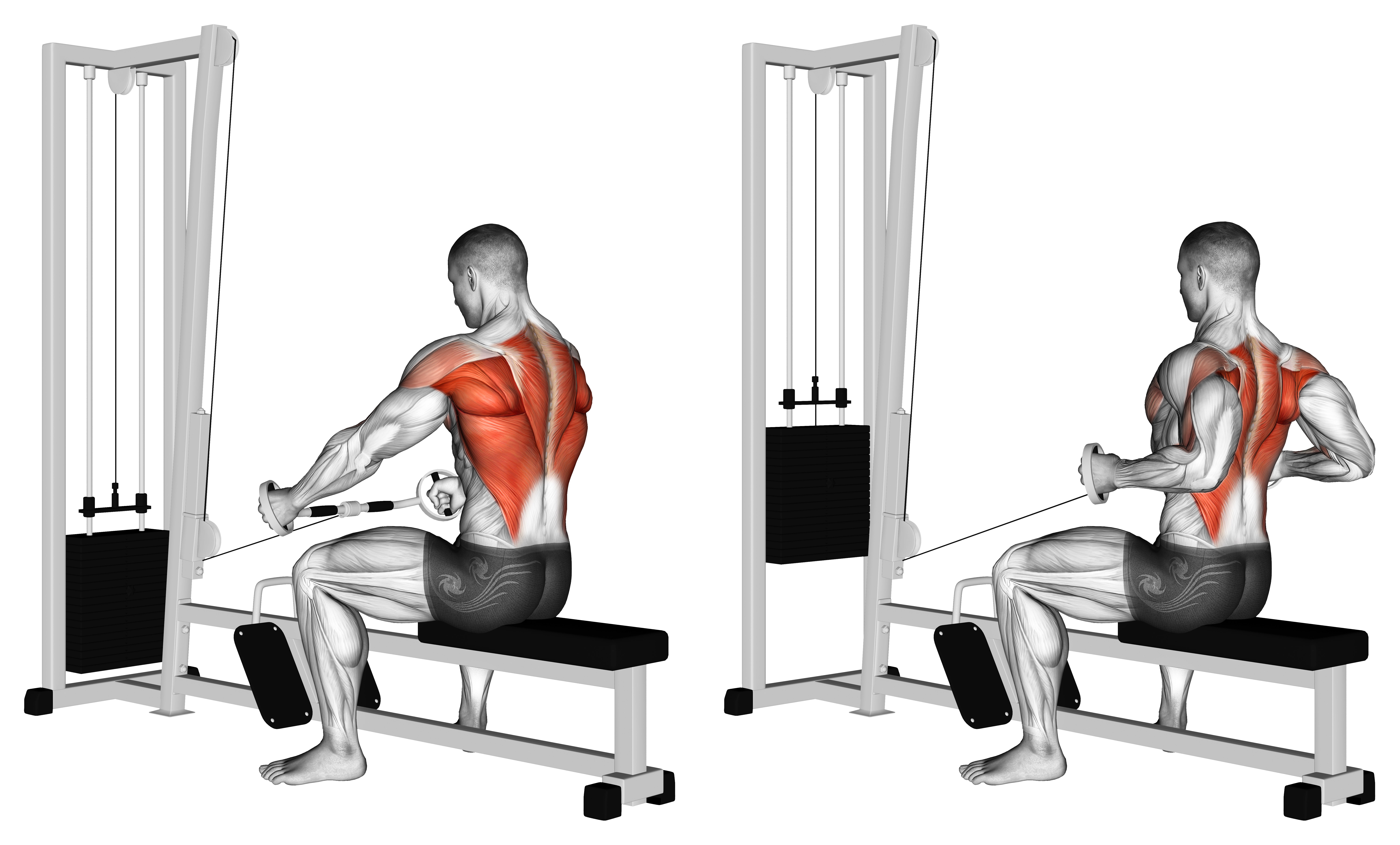 Cable Seated Row (bent Bar)