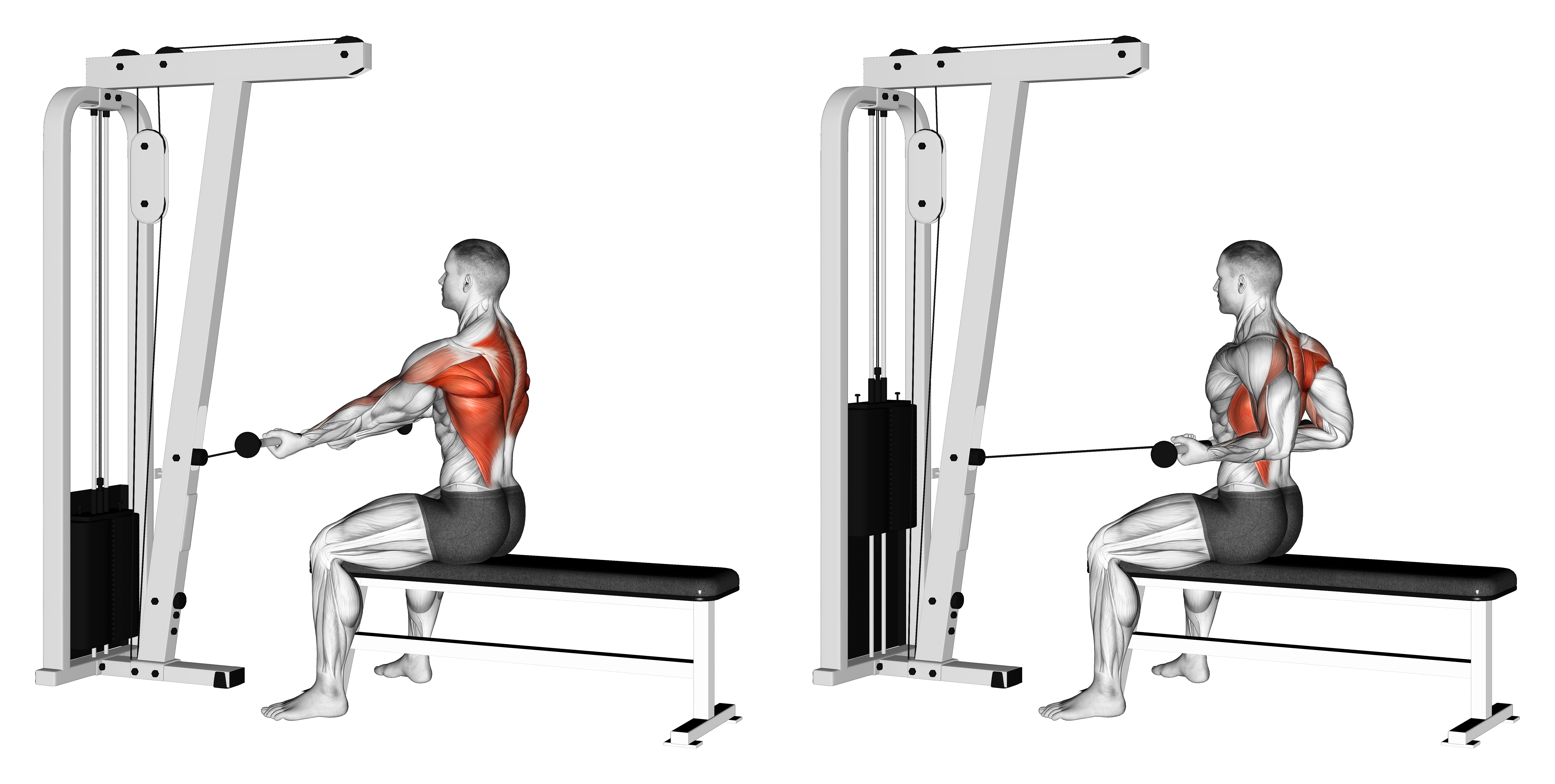 Cable Seated Supine Grip Row