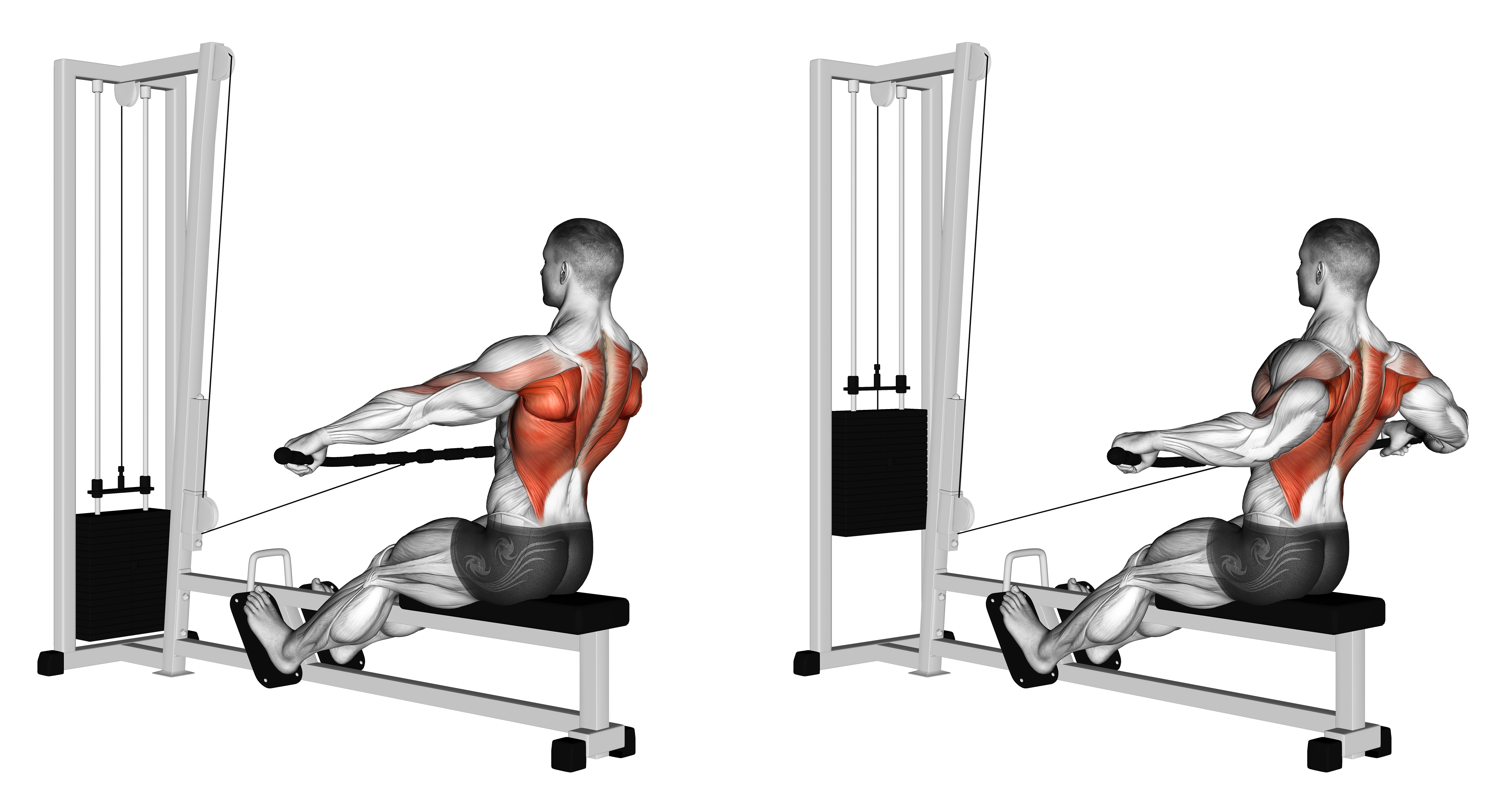 Cable Seated Wide Grip Row